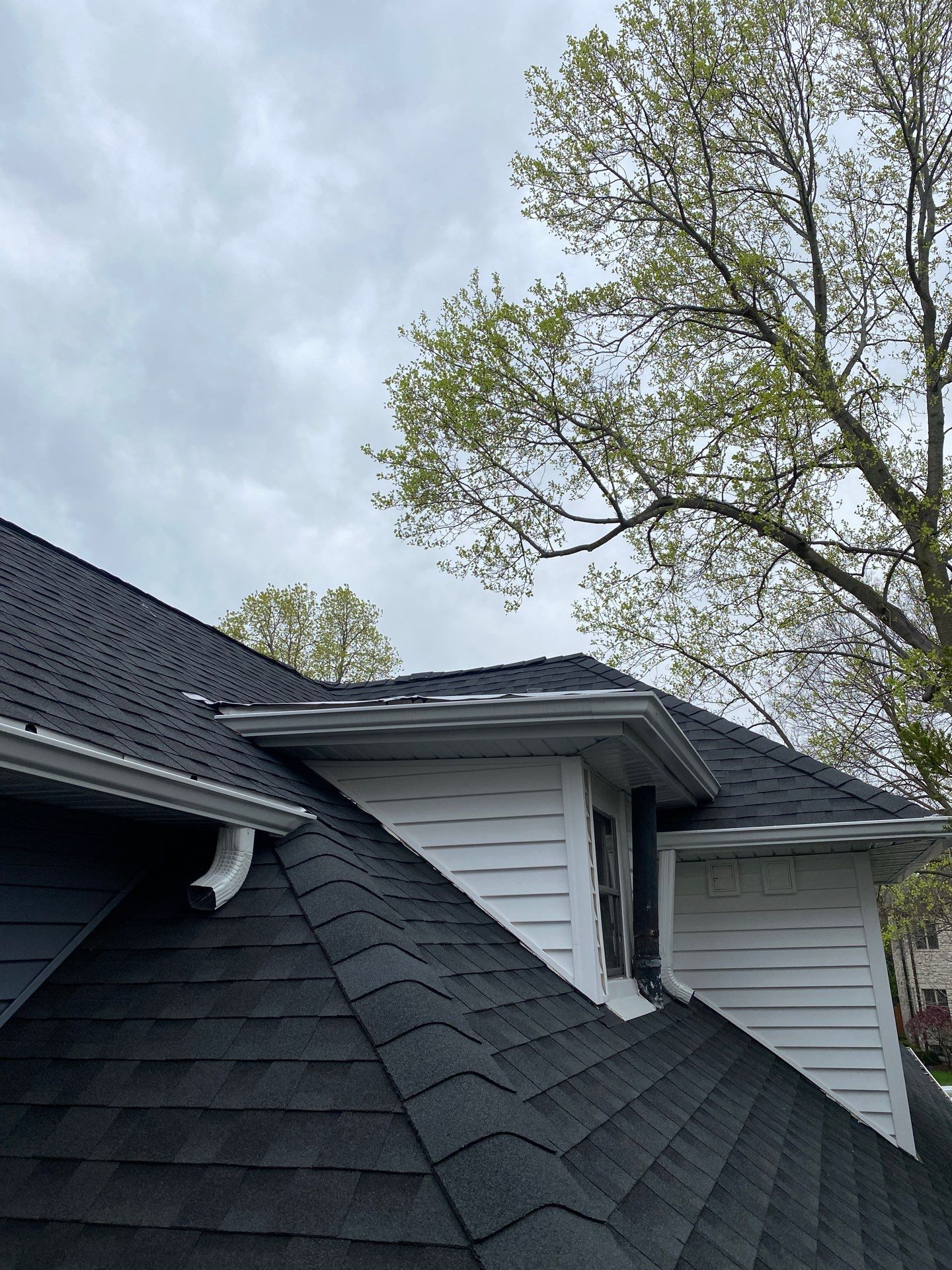 Asphalt Roof, Vinyl Siding, and Aluminum Gutter Replacement by Custom Installations