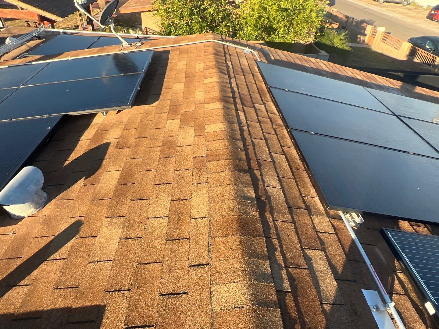 Silver Birch Shingles by Reimagine Roofing