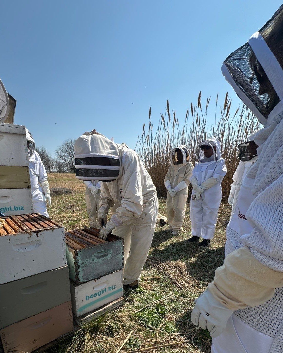 Teaching at an Apiary in Rowlett by Rockwall Honey Bee Company