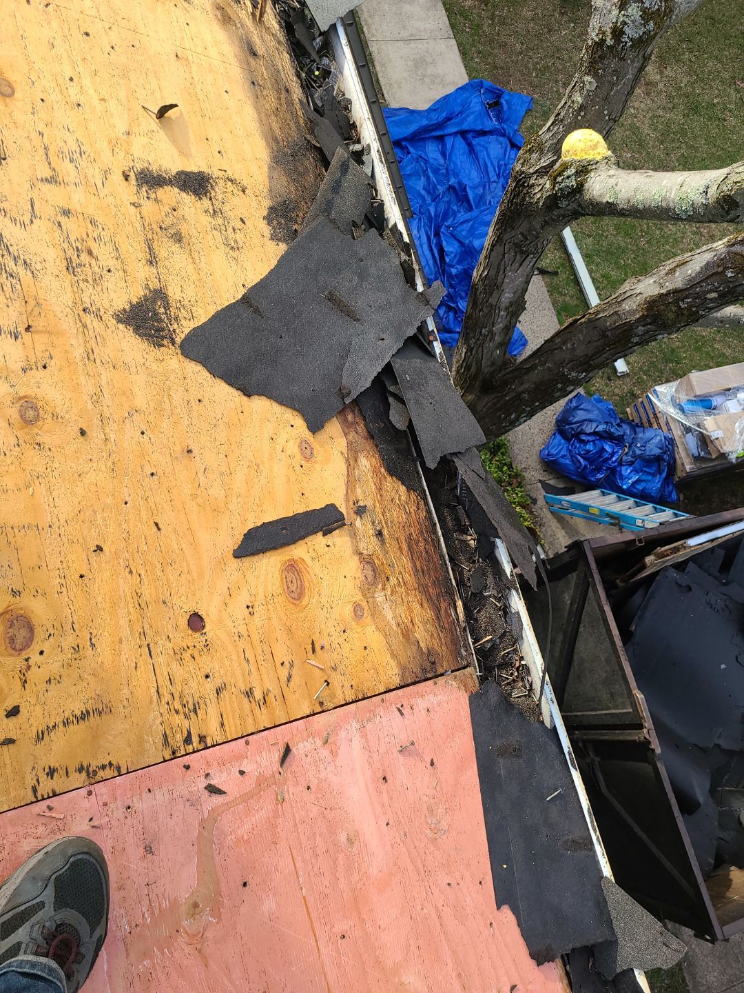 Burke CertainTeed Landmark Pro Roof in Max Def Espresso by RM Banning, Inc.