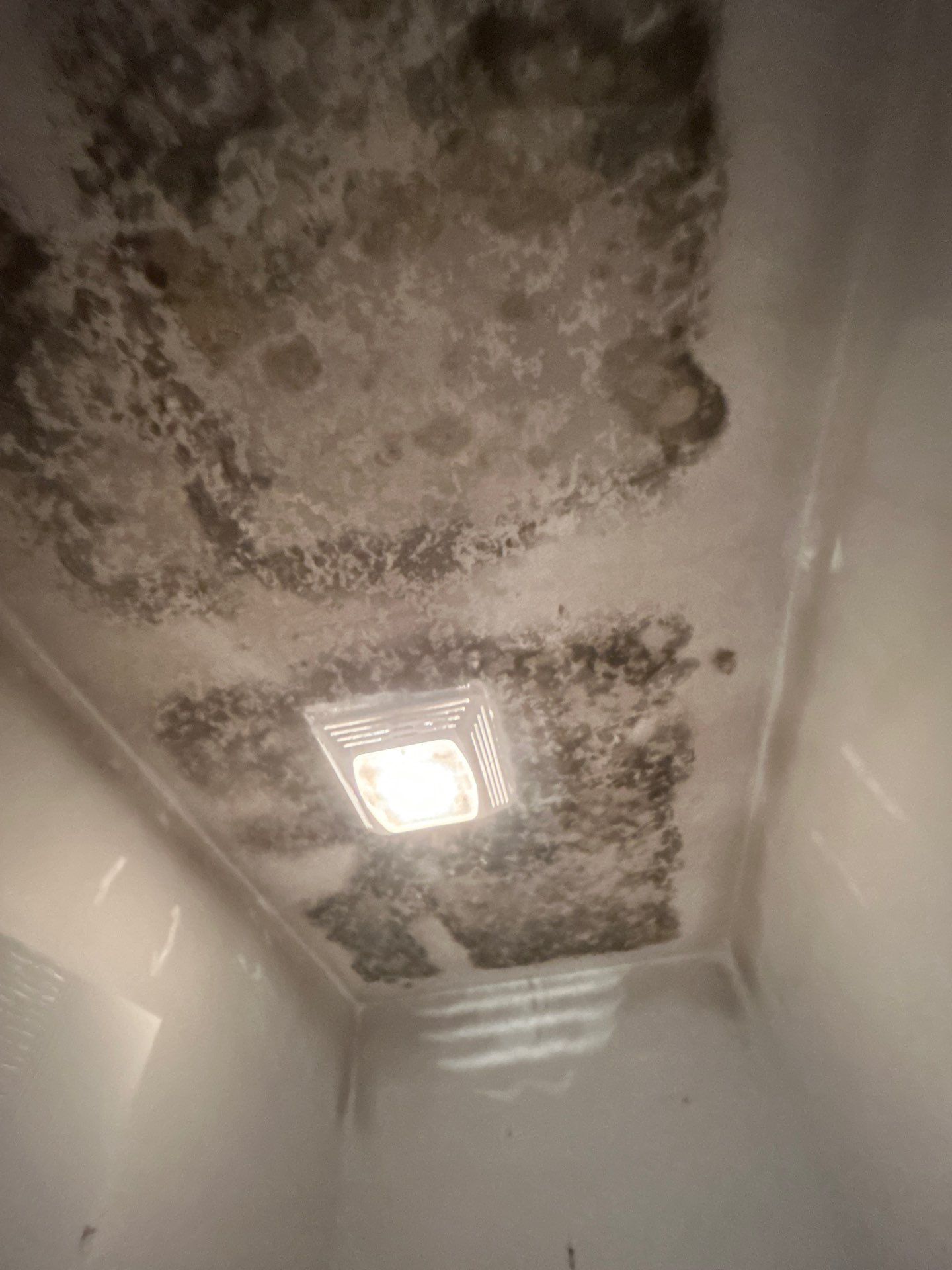 Mold Damage Removal In Palmetto, FL by Ampm Restoration Services