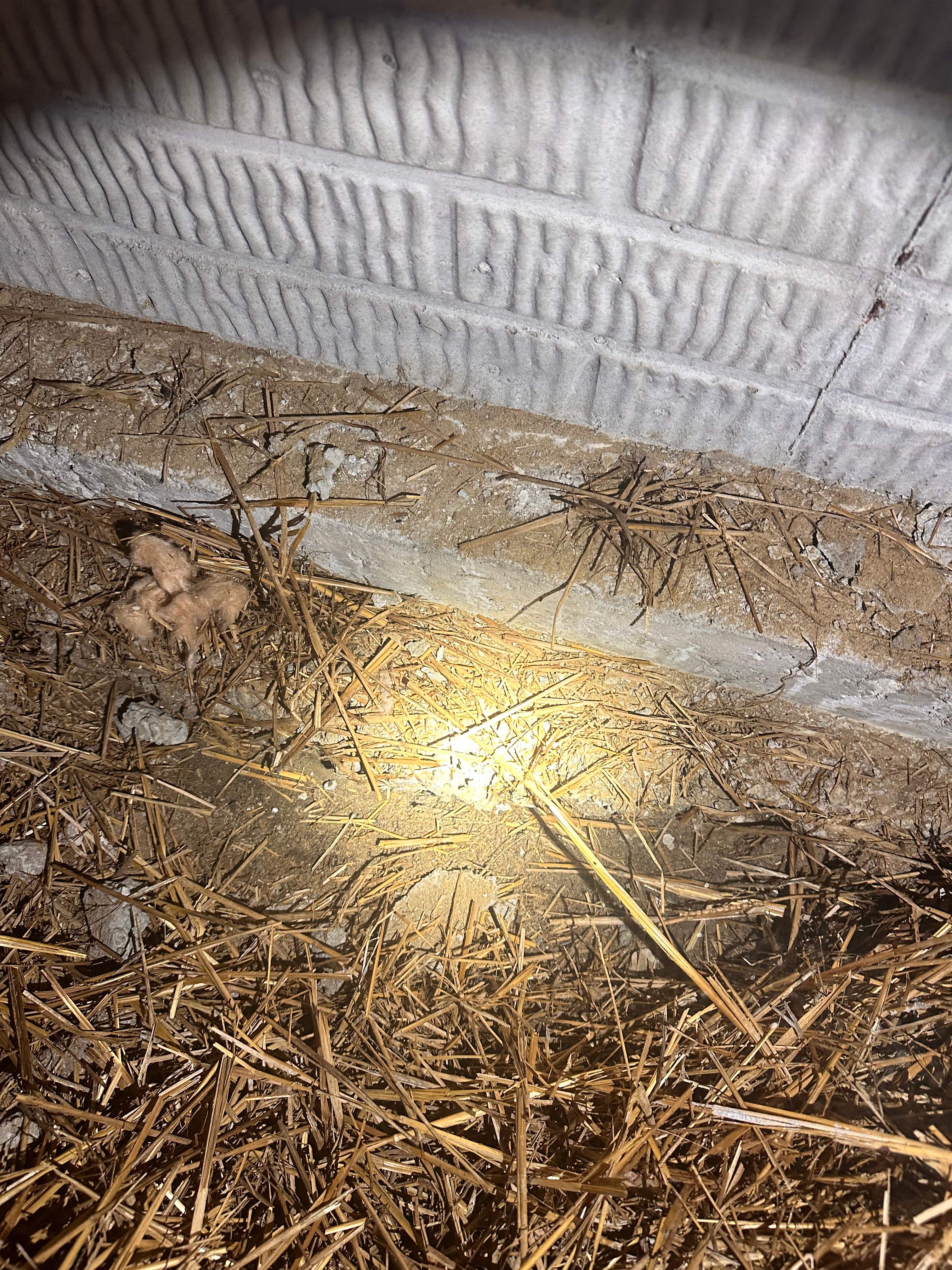 Crawls Repairs - Push Piers, Waterproofing, Insulation, Encapsulation, Brick Tuckpointing by Toledo Basement Repair 