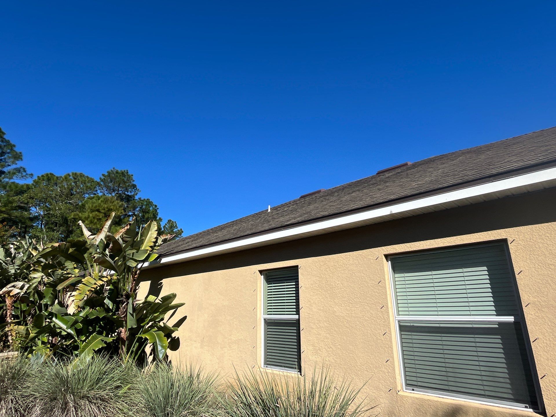 Shingle -> Shingle by Prime Roofing