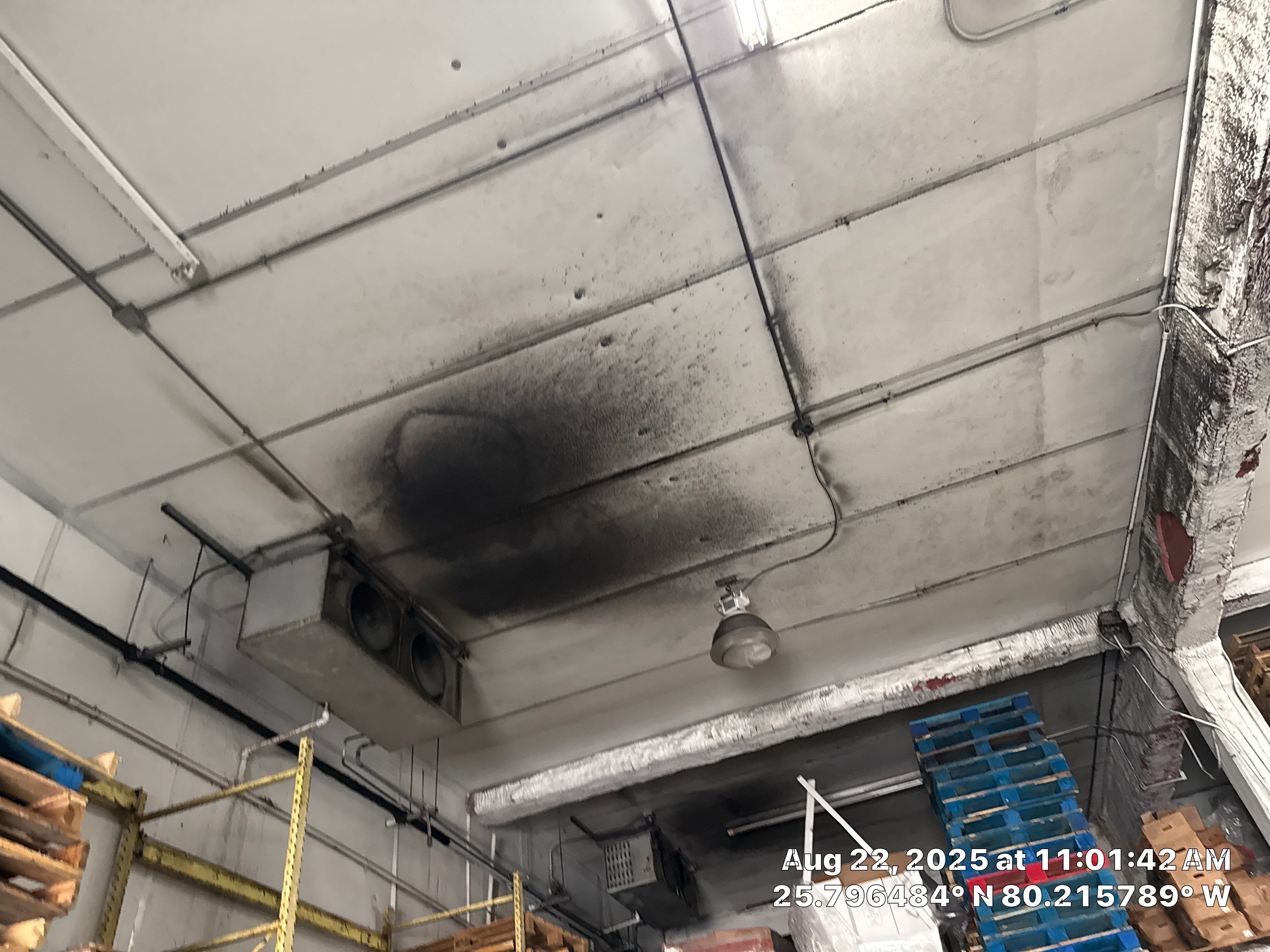 MOLD REMEDIATION by SuperClean 