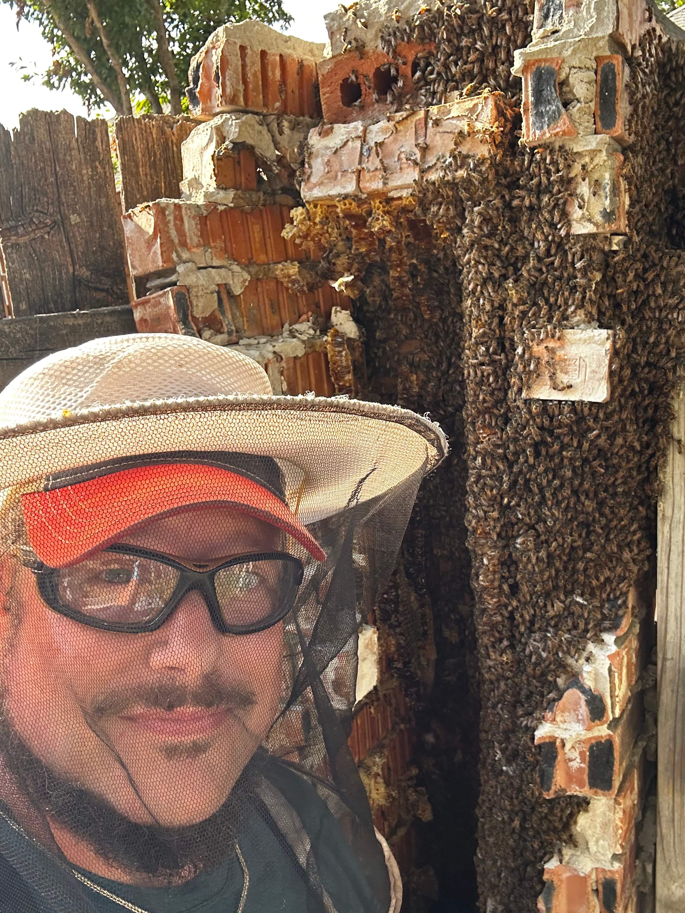 Brick Column by Rockwall Honey Bee Company