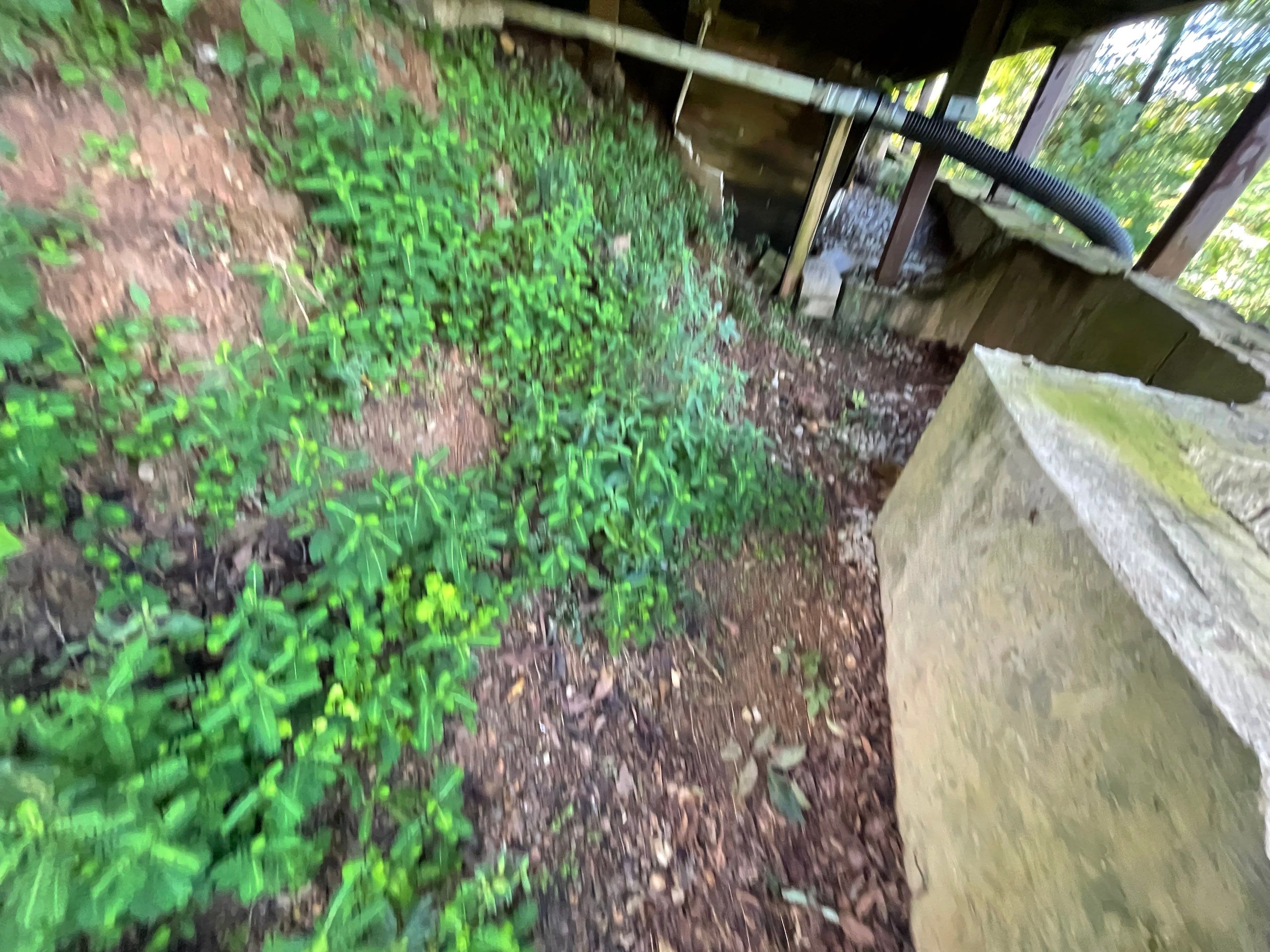 Shades Crest - Deck by Pillar and Pine