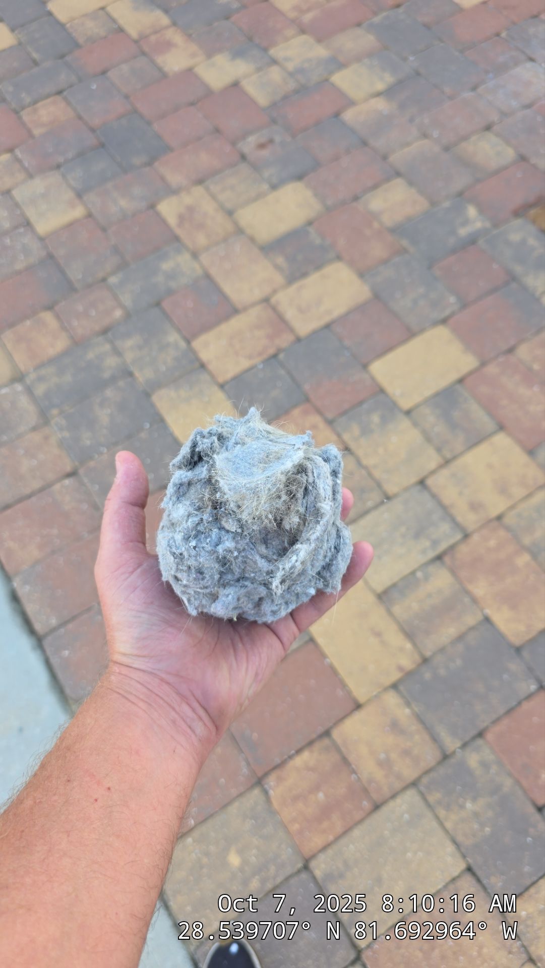 Dryer Vent Cleaning in Clermont by Hygienic Air, Inc