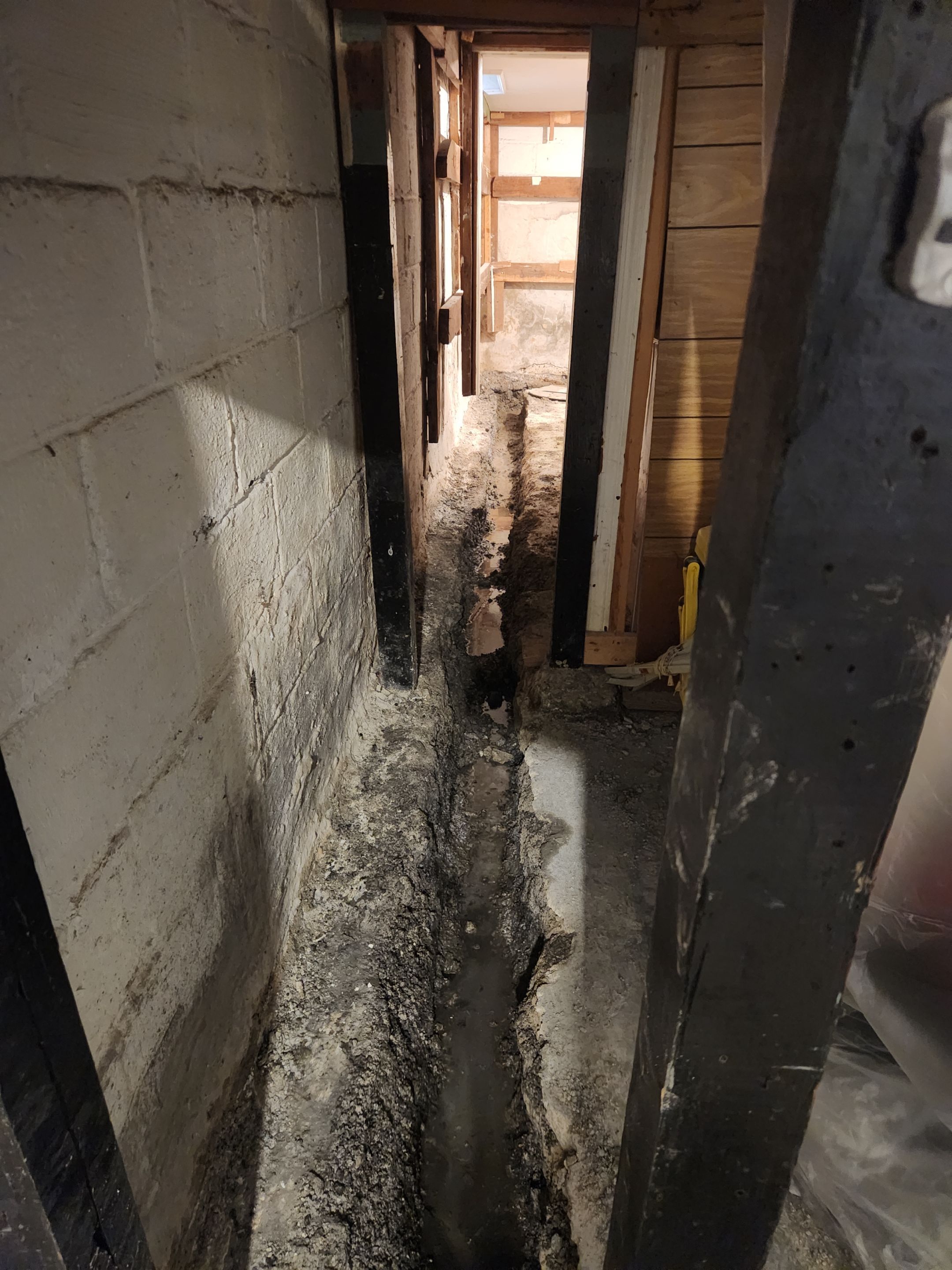 Interior French Drain & Mold Remediation Little Falls NJ by Pure Service Pro, LLC 