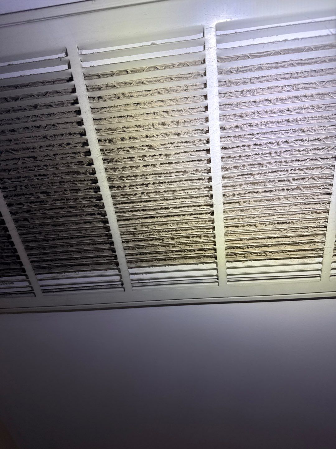 Mold in Air Ducts Remediation by Healthy Home Solutions