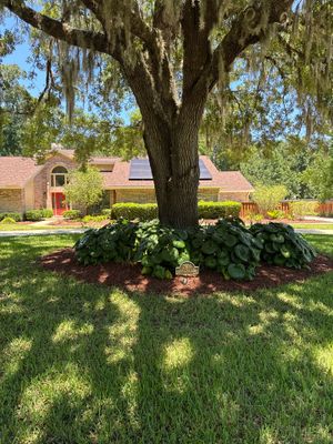 Deerwood Resident | Pine Bark Install & Clean-Up