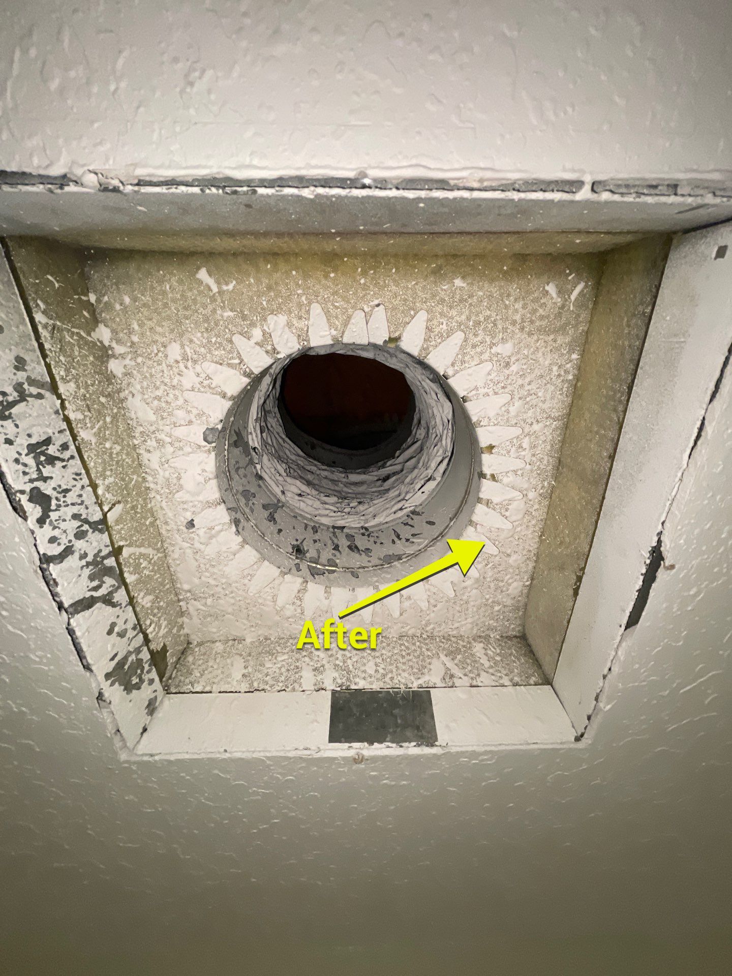 Air Duct Cleaning in Bartow by Hygienic Air, Inc