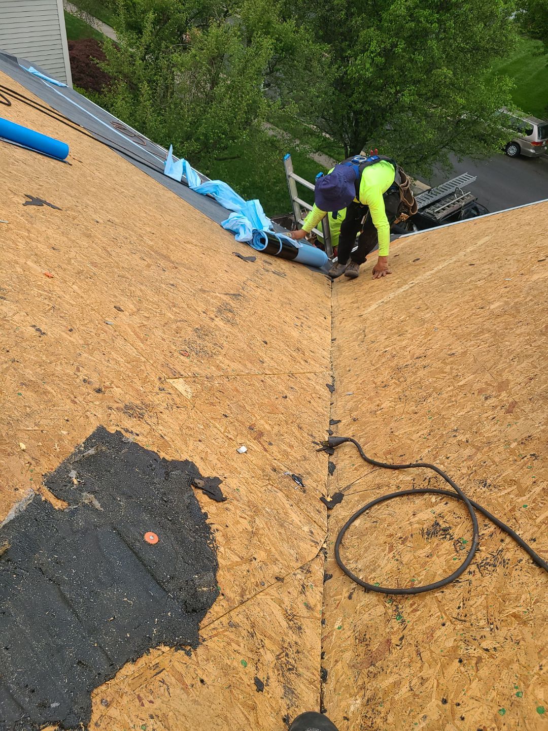 Vienna: CertainTeed Landmark Pro Designer Shingles in Max Def Moire Black by RM Banning, Inc.