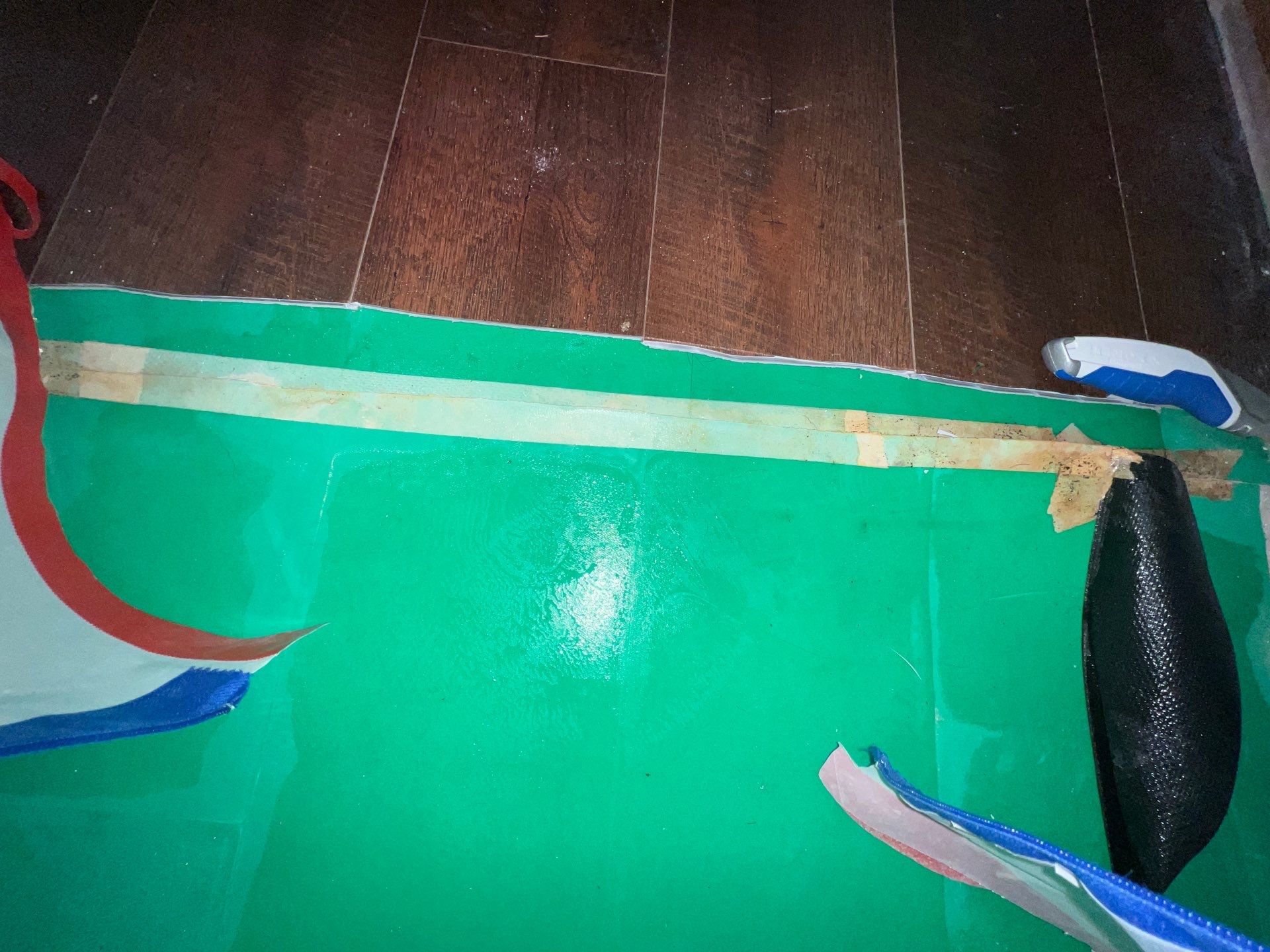 Stansell - water and mold photos  by THE RAPID TEAM