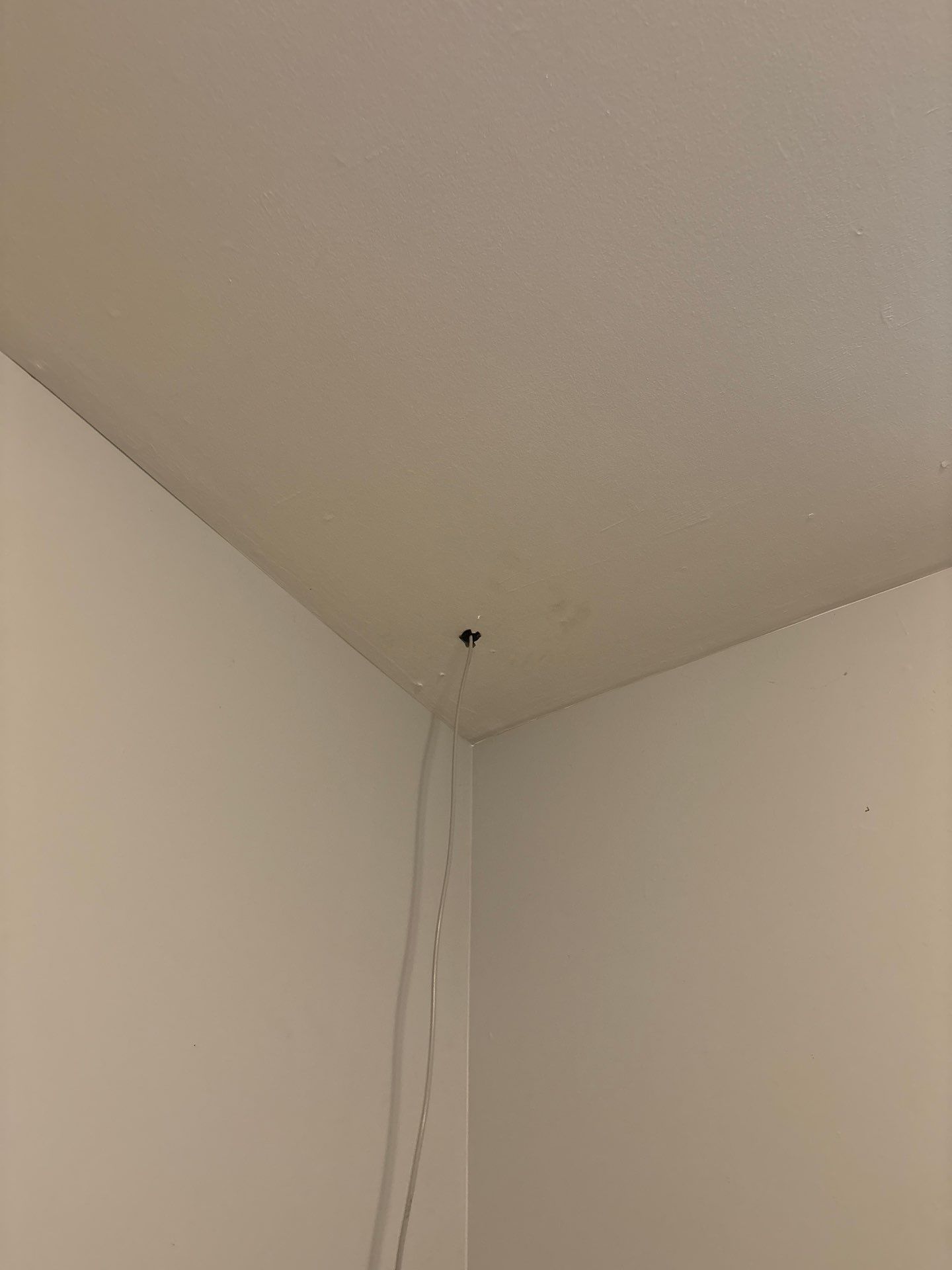 Flush Mount Light Fixture and Ceiling Vent Upgrade in Denver by CompanyCam Sales Demo