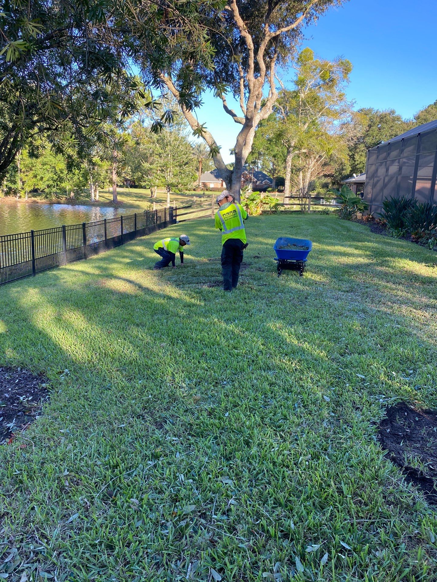 Deerwood | Tree Trimming & Sod Install | Residential by ProGreen Services