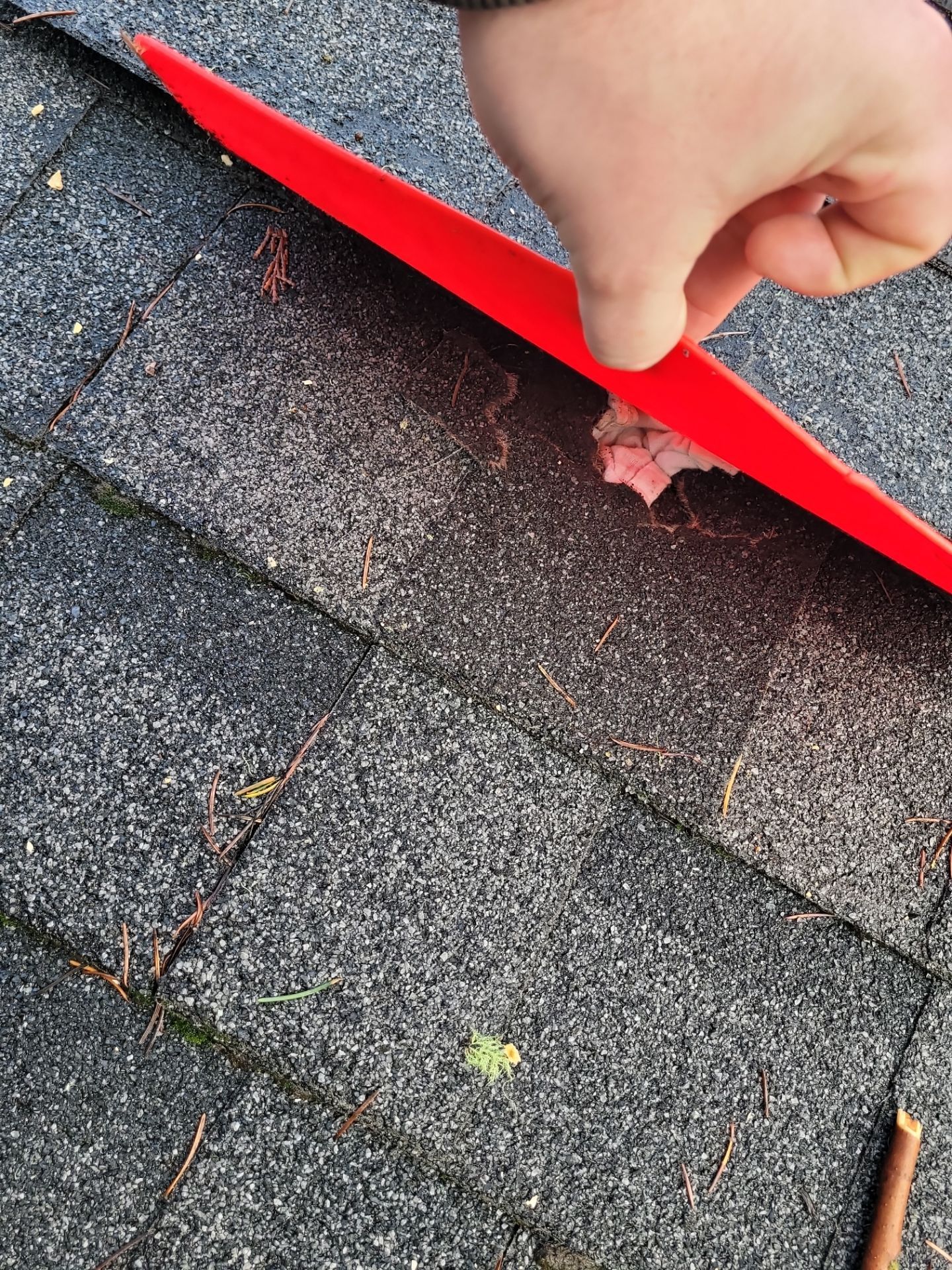 Residential Reroof by BEST Roofing & Waterproofing