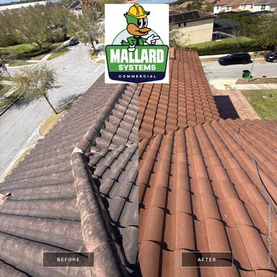 Barrel Tile Roof Cleaning
