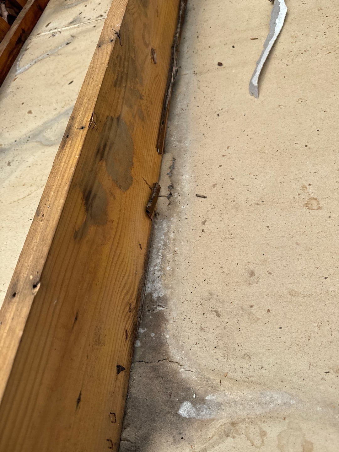 Project in Davidsonville by Elvis General Construction LLC