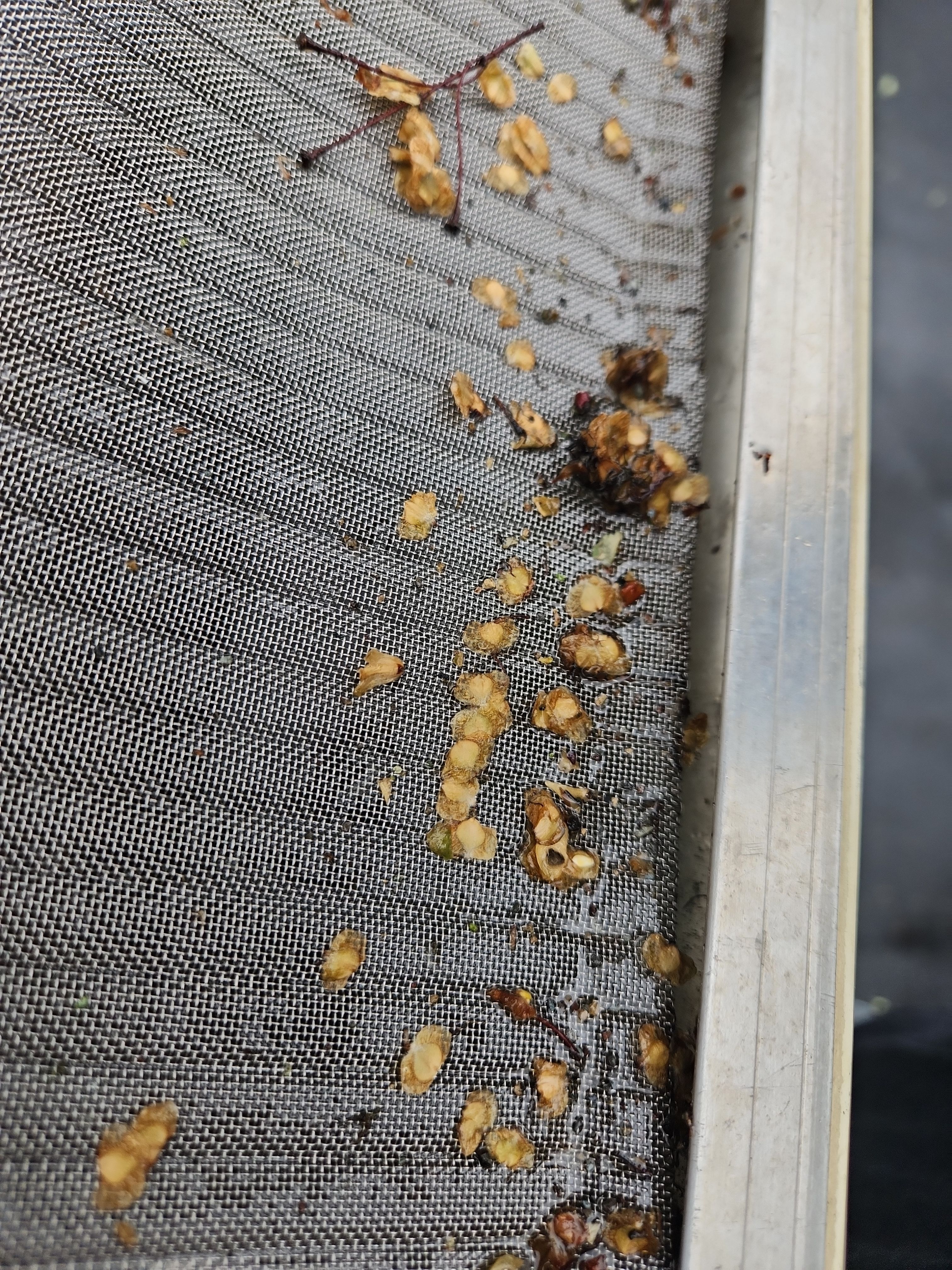 Leaf Blaster Pro Covers in Greenfield, MN  by Next Level Seamless Gutters / Exteriors Inc.