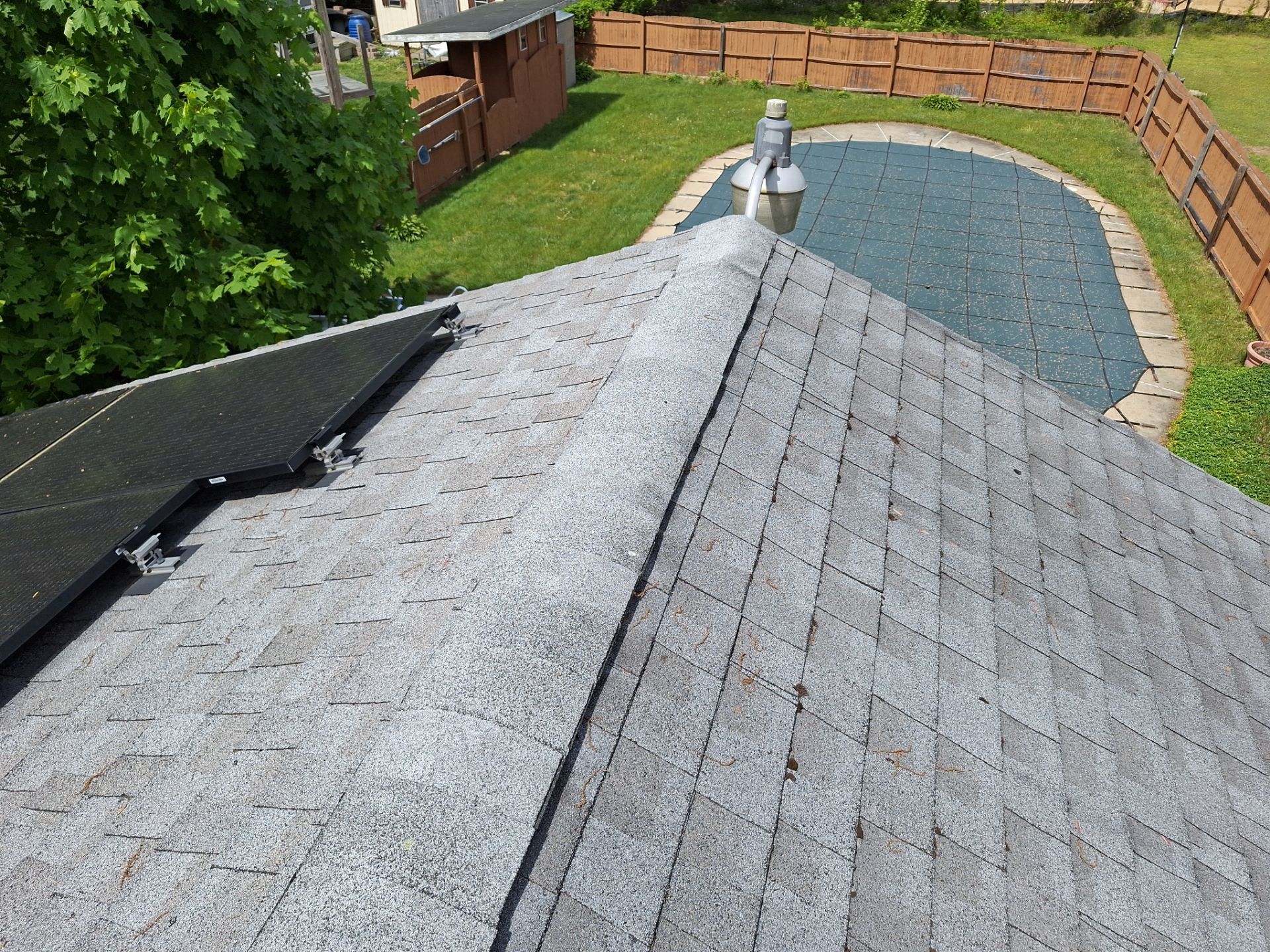 Silver Birch Shingles by Reimagine Roofing