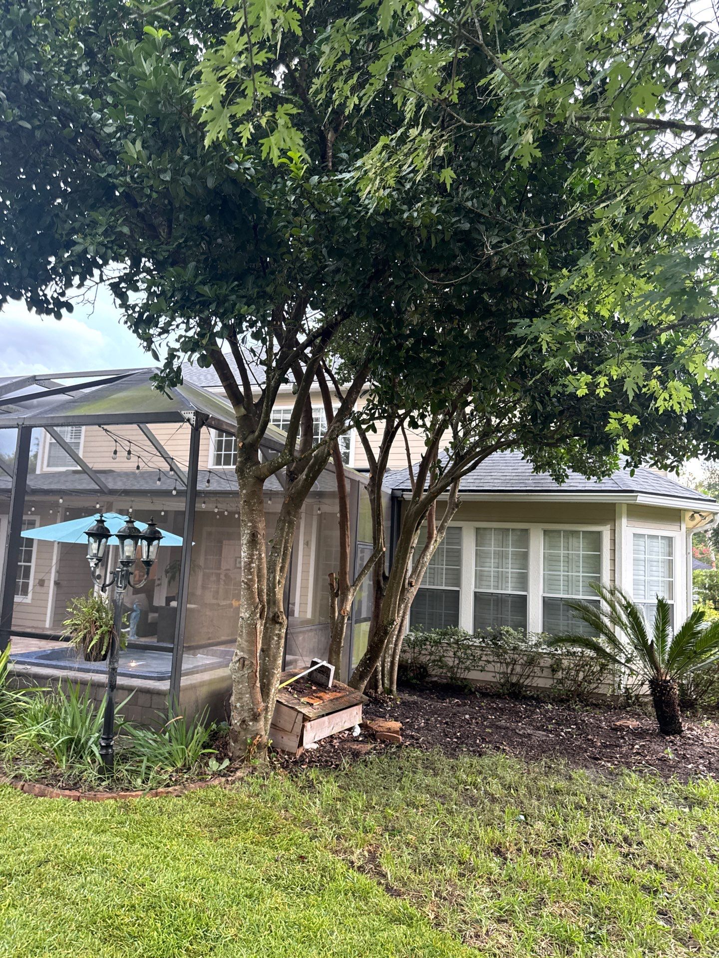 Residential | Sod Installation & Tree Trimming by ProGreen Services