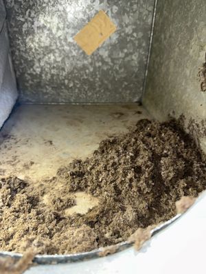 Air Ducts + Whole House Sanitizing