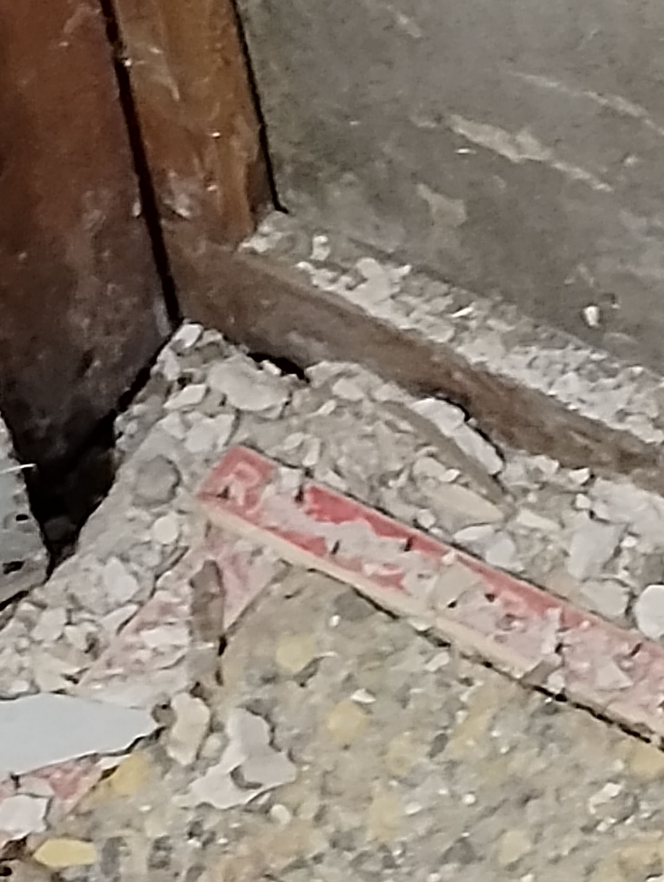 Mold Damage Repairs by Accountable Home Services