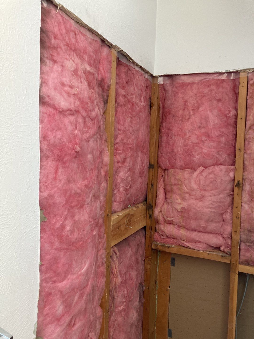 Mold Remediation  by Accountable Home Services