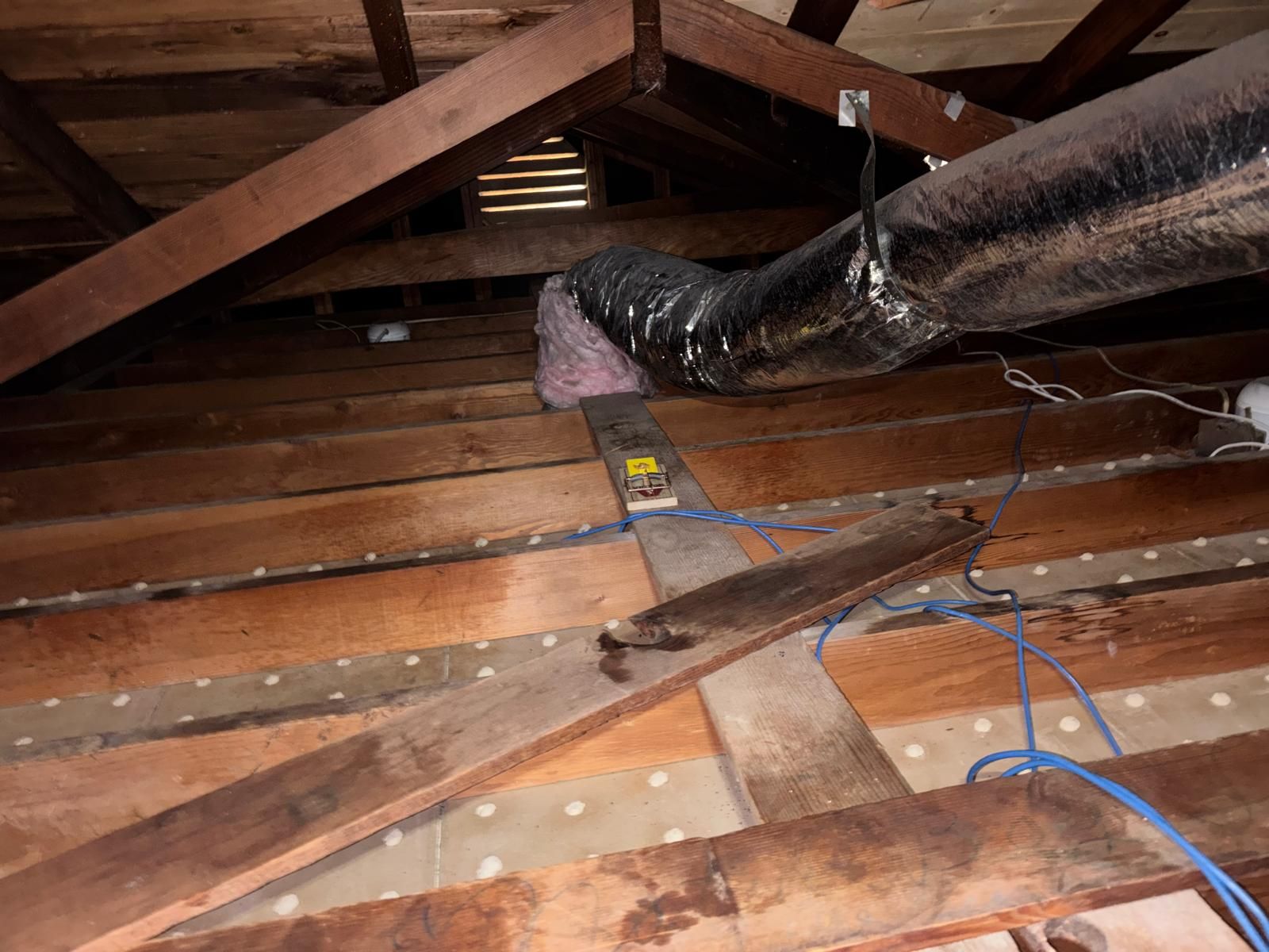 Project in Los Angeles by Insulation Labs