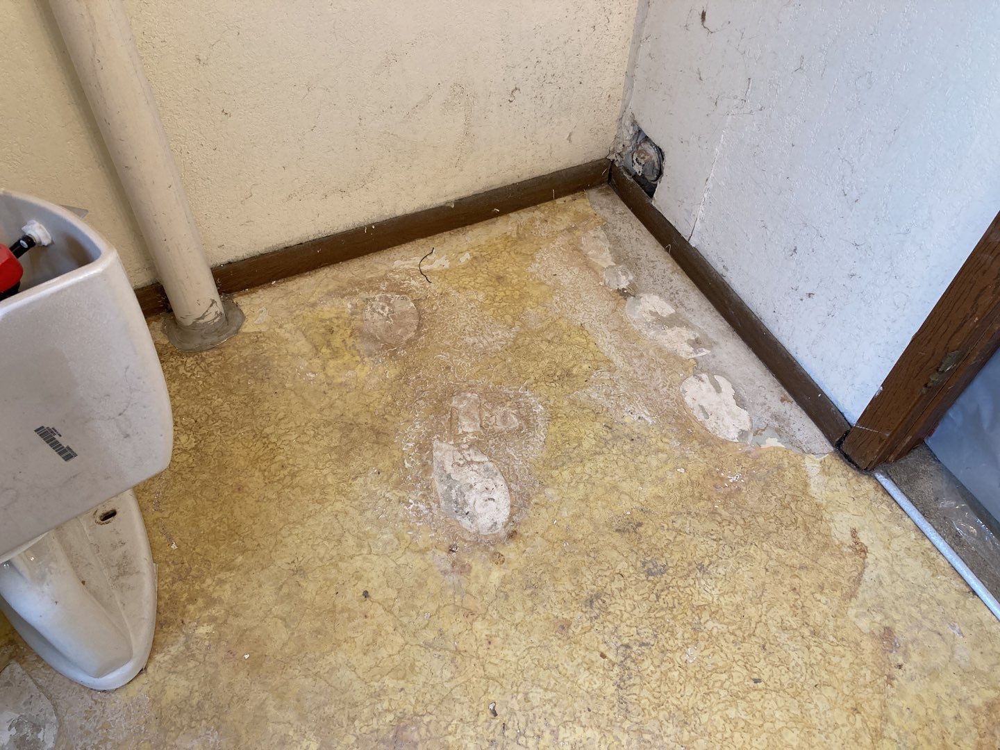 Mold Remediation in Bathroom by Accountable Home Services