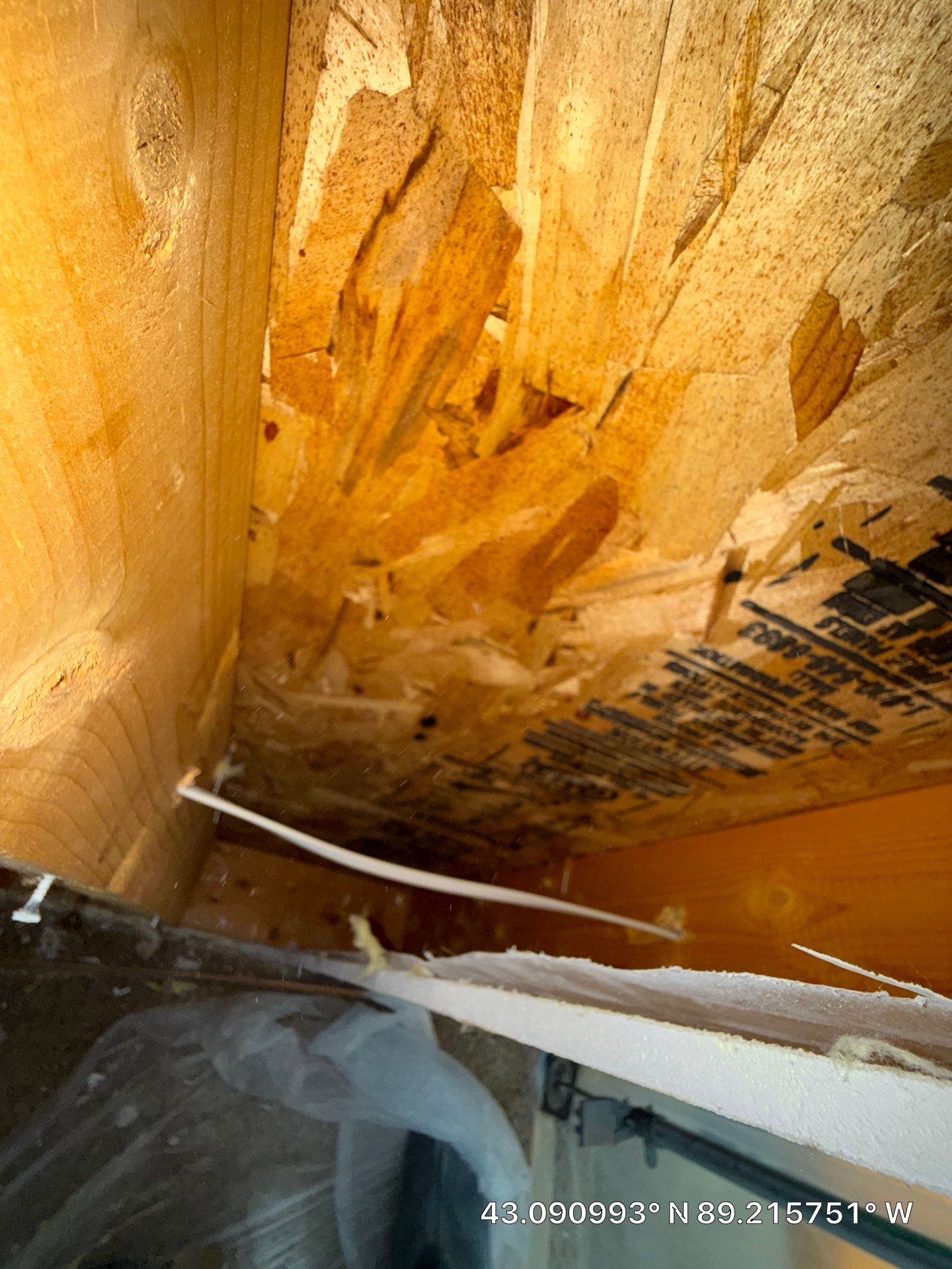 Mold Remediation by Dry Source Property Restoration