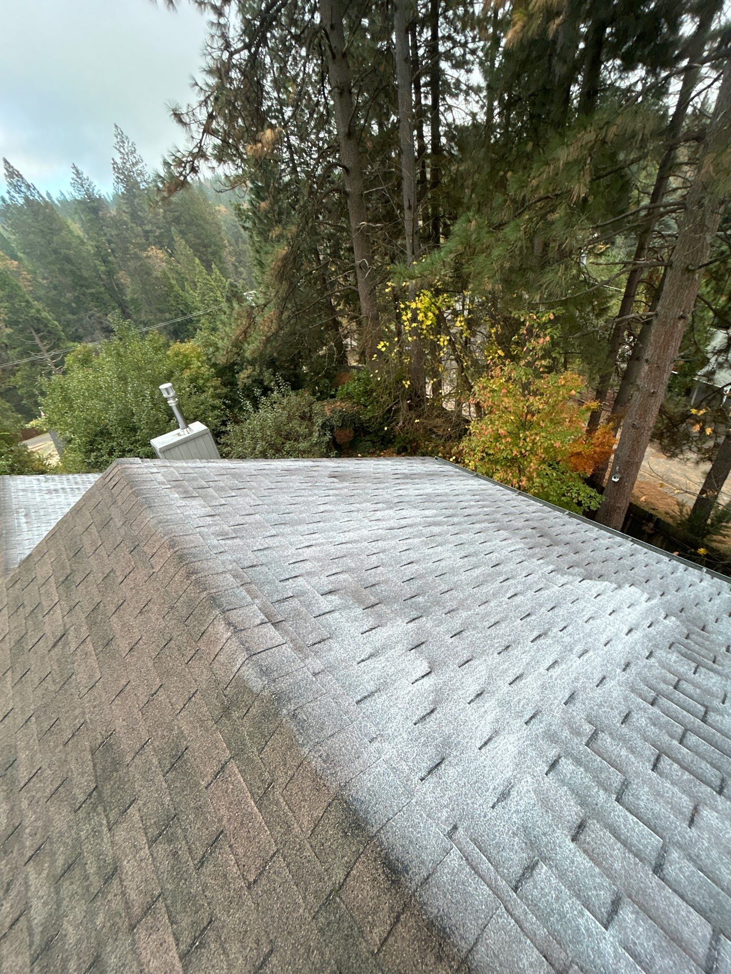 Roof Rejuvenation using Roof Maxx Treatment by Roof Maxx of Folsom