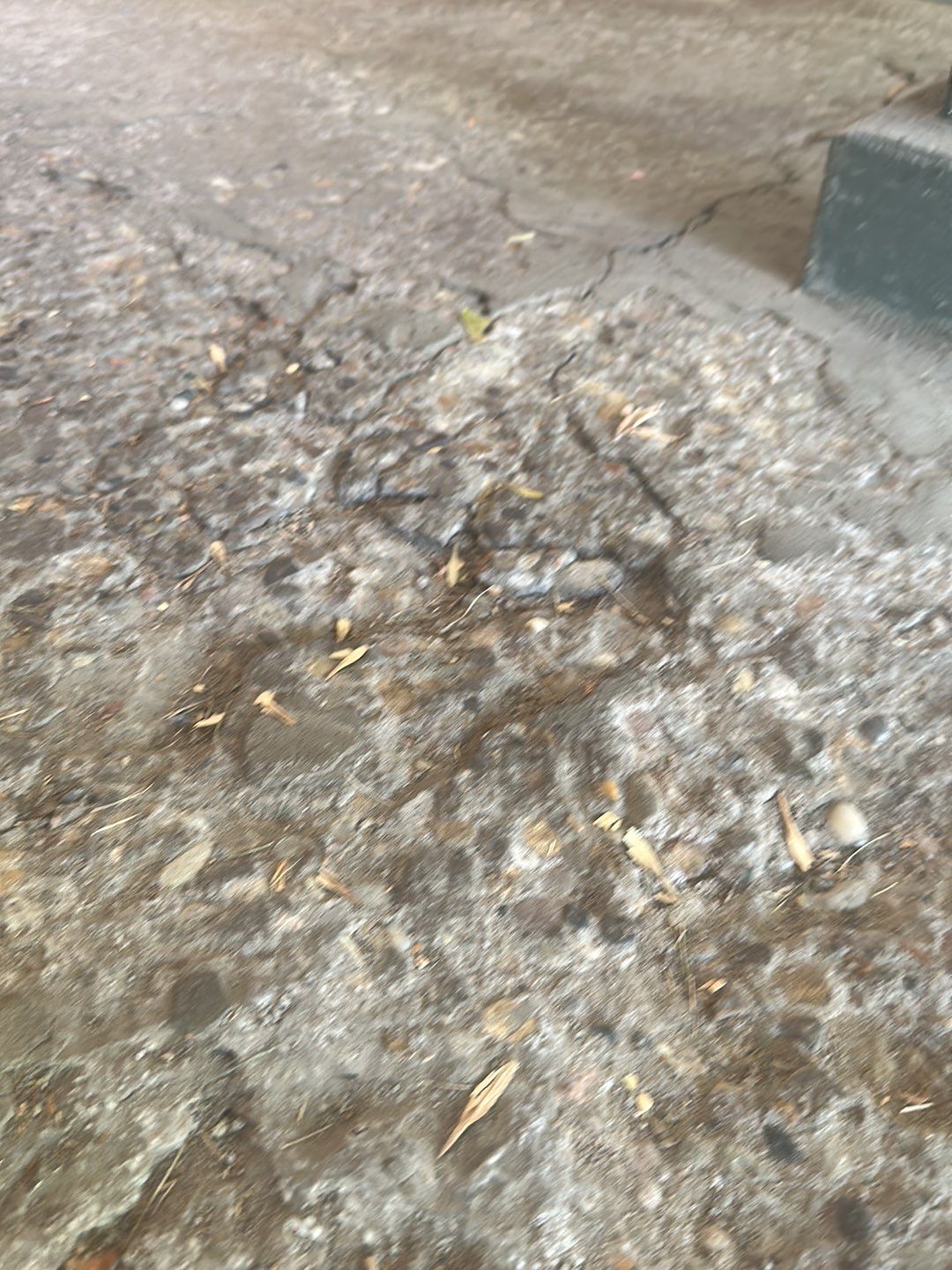 Garage Project in Pittsburgh by Floors in a Day, Inc