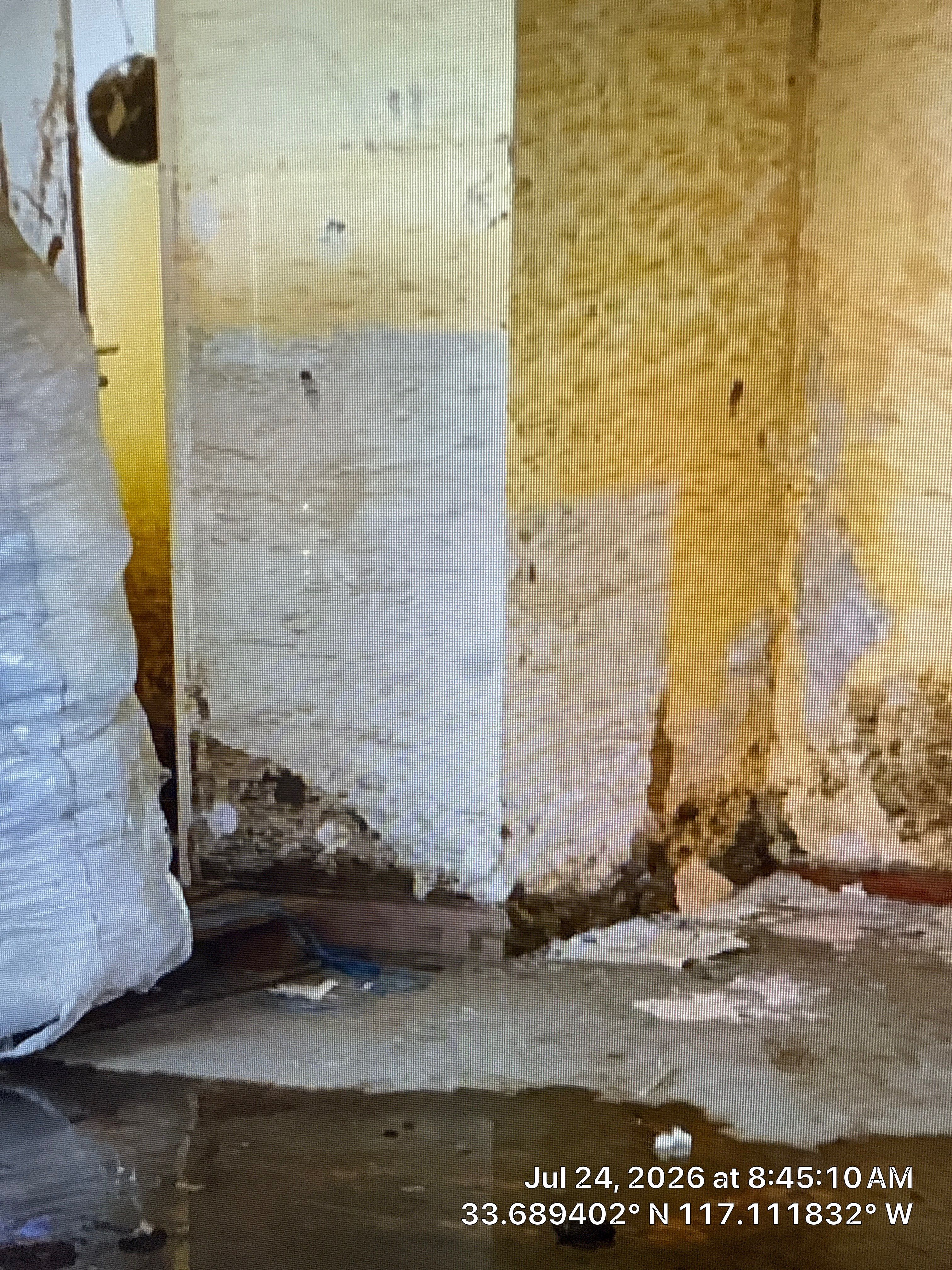Interior Flood Damage Restoration and Selective Demolition in Lincoln by CompanyCam Sales Demo