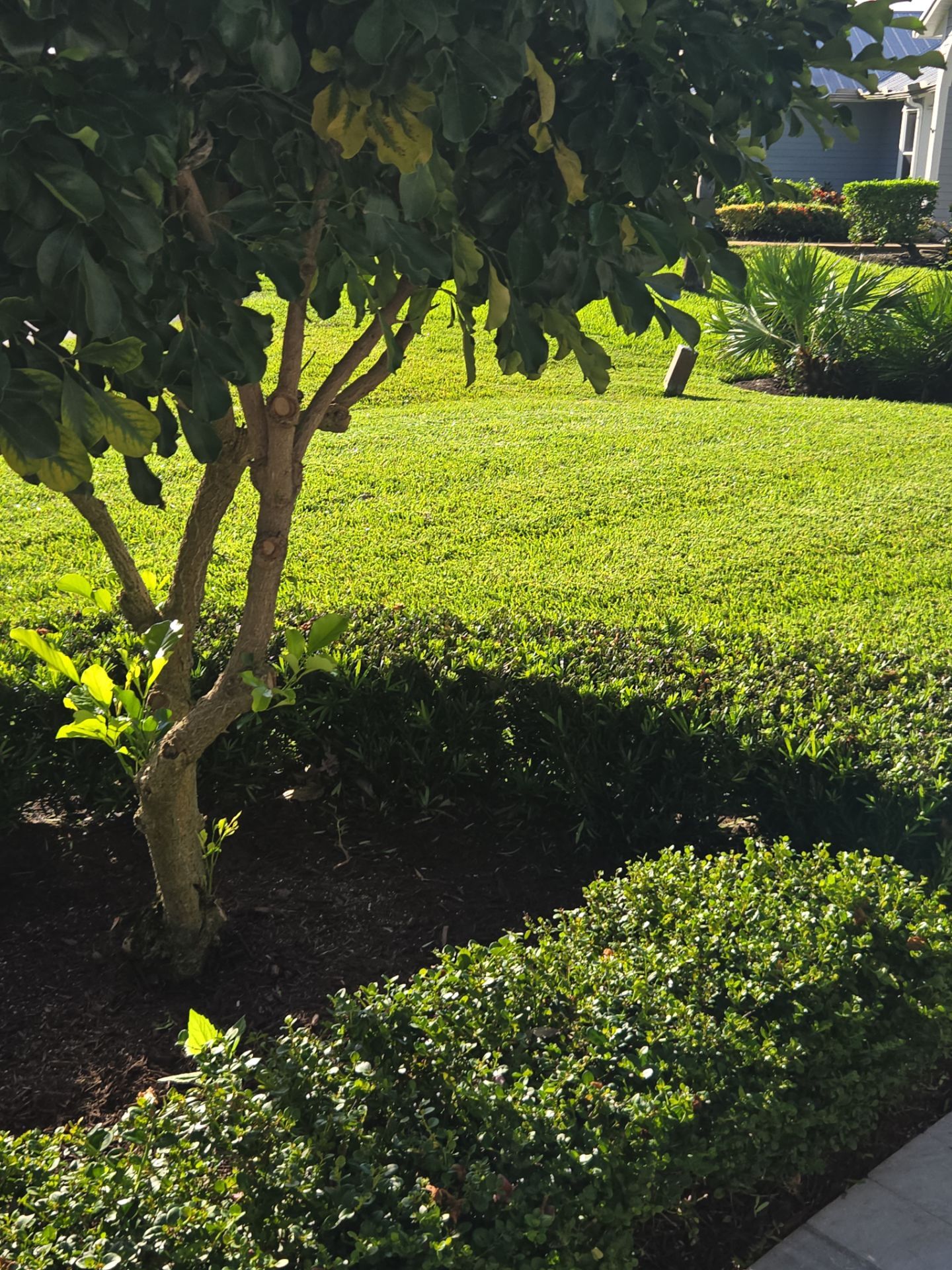 Hunter’s Club Revival – Precision Care Meets Palm City Prestige by Alpha Zeta Enterprises Inc
