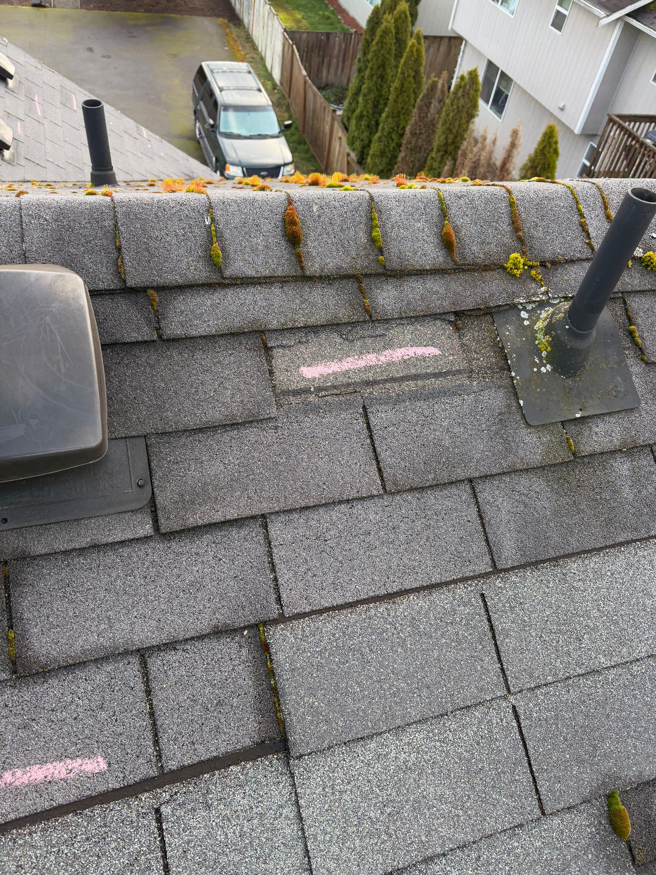 GAF Timberline NS, Charcoal  by Proline Roofing & Restoration LLC