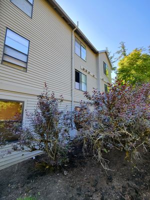 Project in Lake Oswego