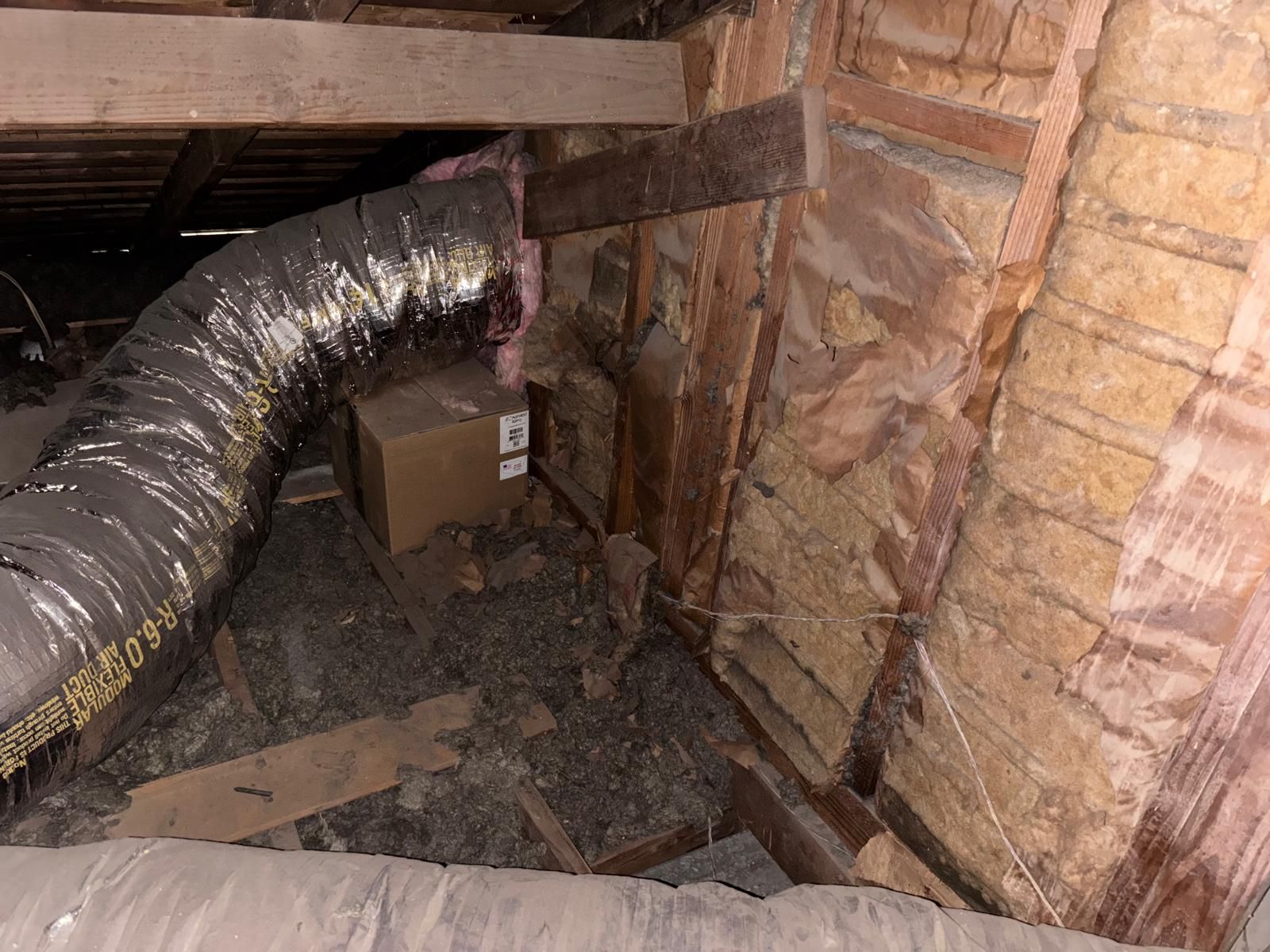 Project in Placentia by Insulation Labs