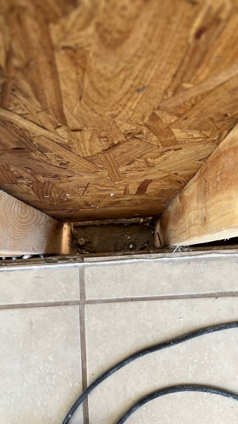 Mold Remediation  by Accountable Home Services