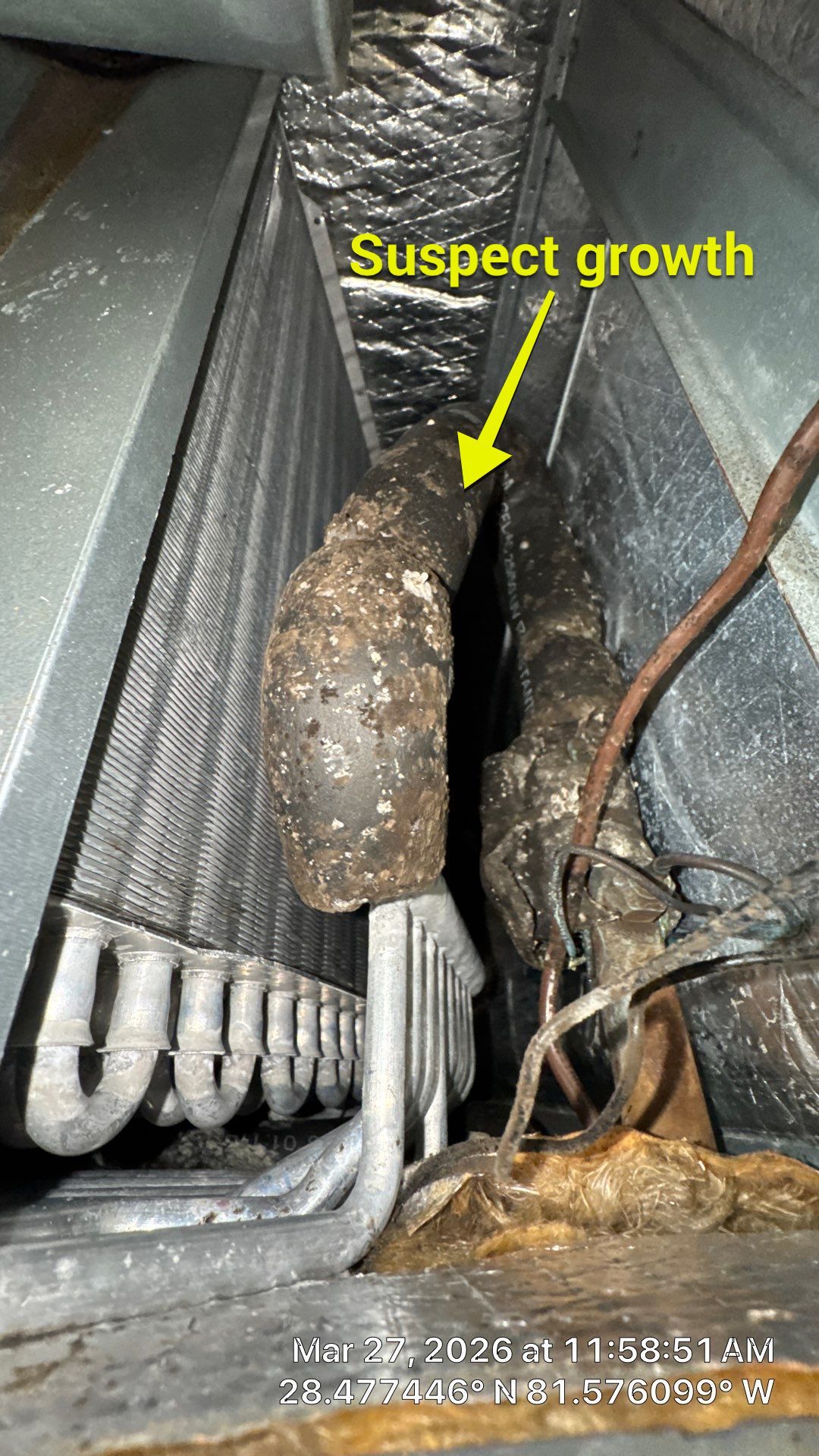 Air Duct Cleaning in Windermere by Hygienic Air, Inc