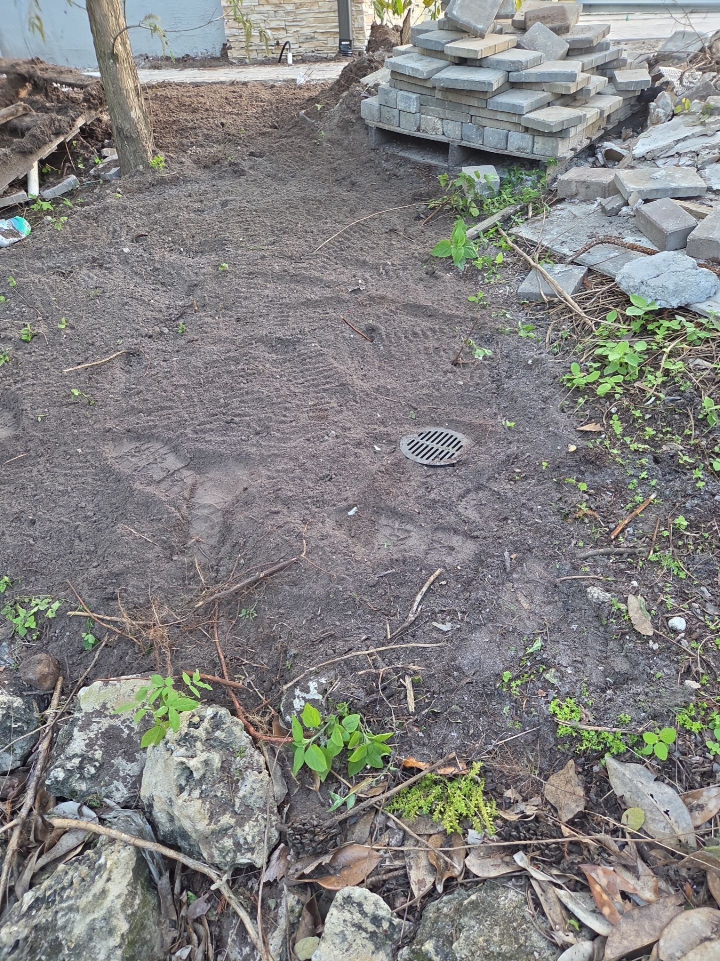 🌿 Magnolia Ridge | Drainage & Site Enhancement  📍 Palm City, Florida by Alpha Zeta Enterprises Inc