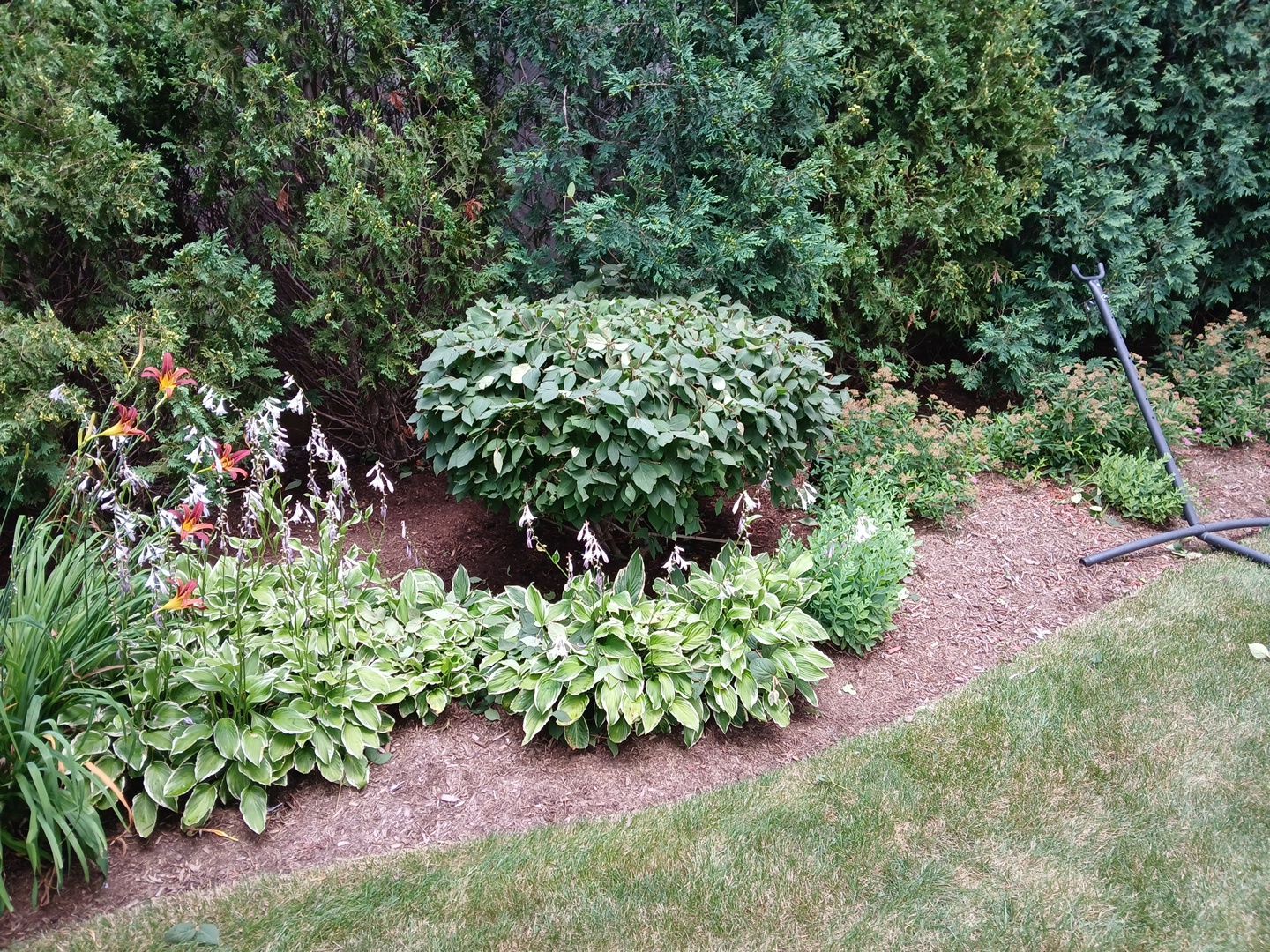 Michael I. - Glenview, IL by A&N 