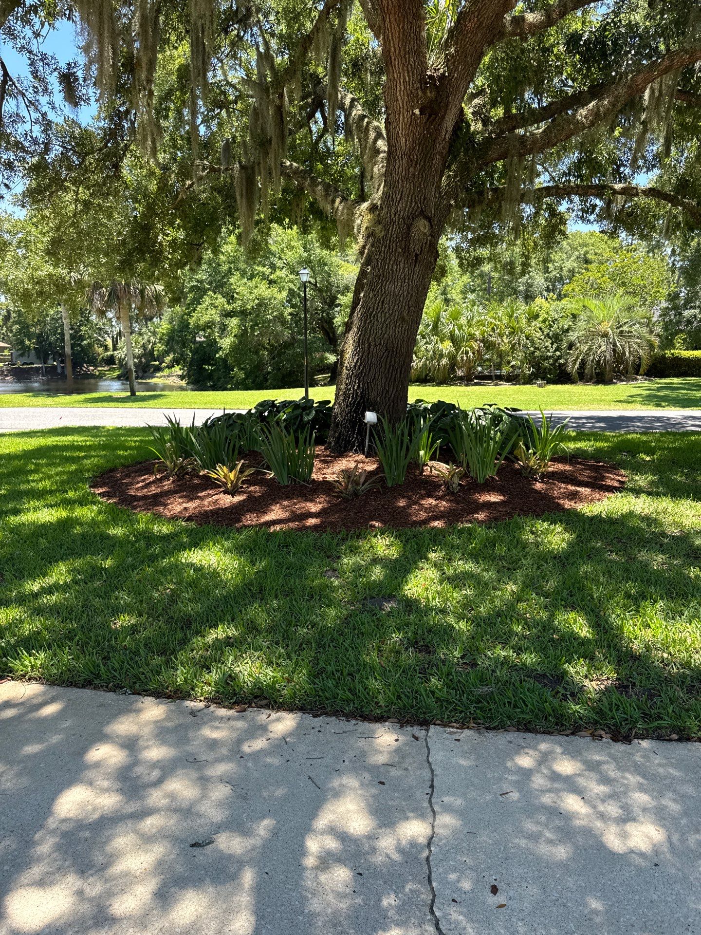 Deerwood Resident | Pine Bark Install & Clean-Up by ProGreen Services