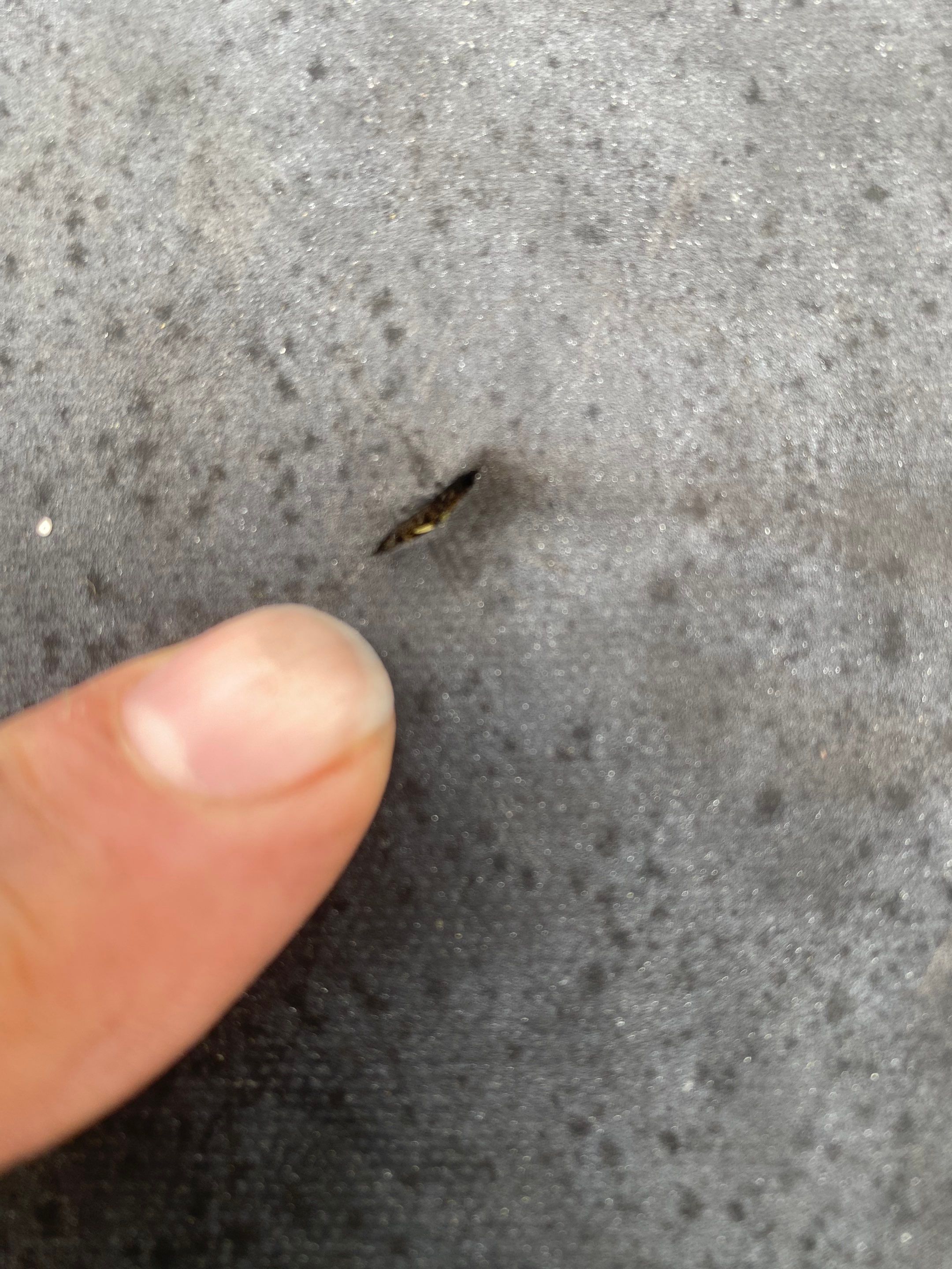 Lorton: EPDM Flat Roof with Partial Slate Replacement by RM Banning, Inc.