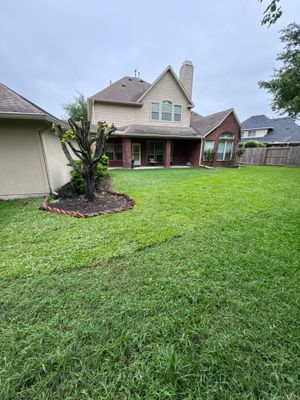 🌿 Mrs. Coleman’s Lawn & Drainage Restoration