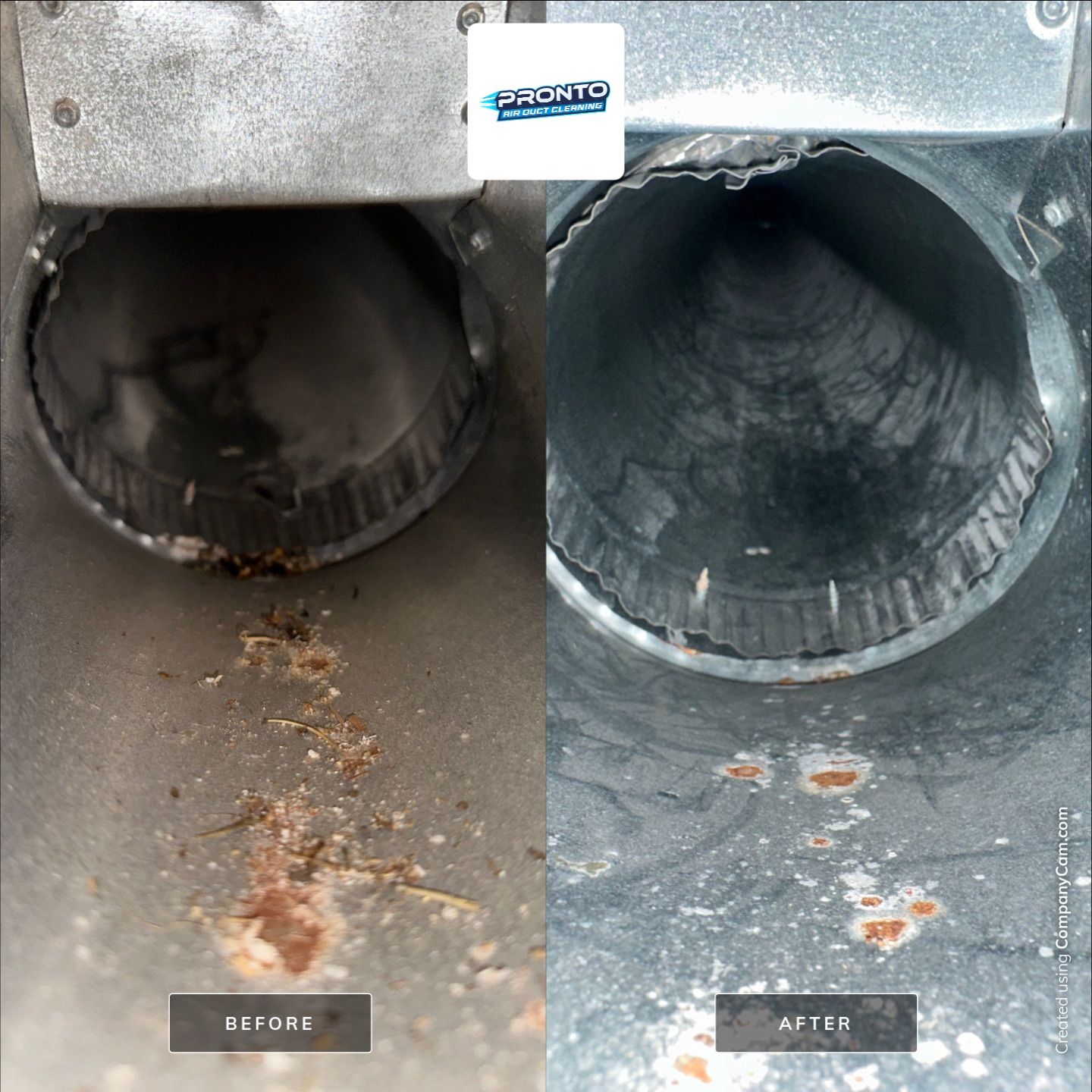 Air ducts + Dryer Vent Cleaning by Pronto Air Duct Cleaning