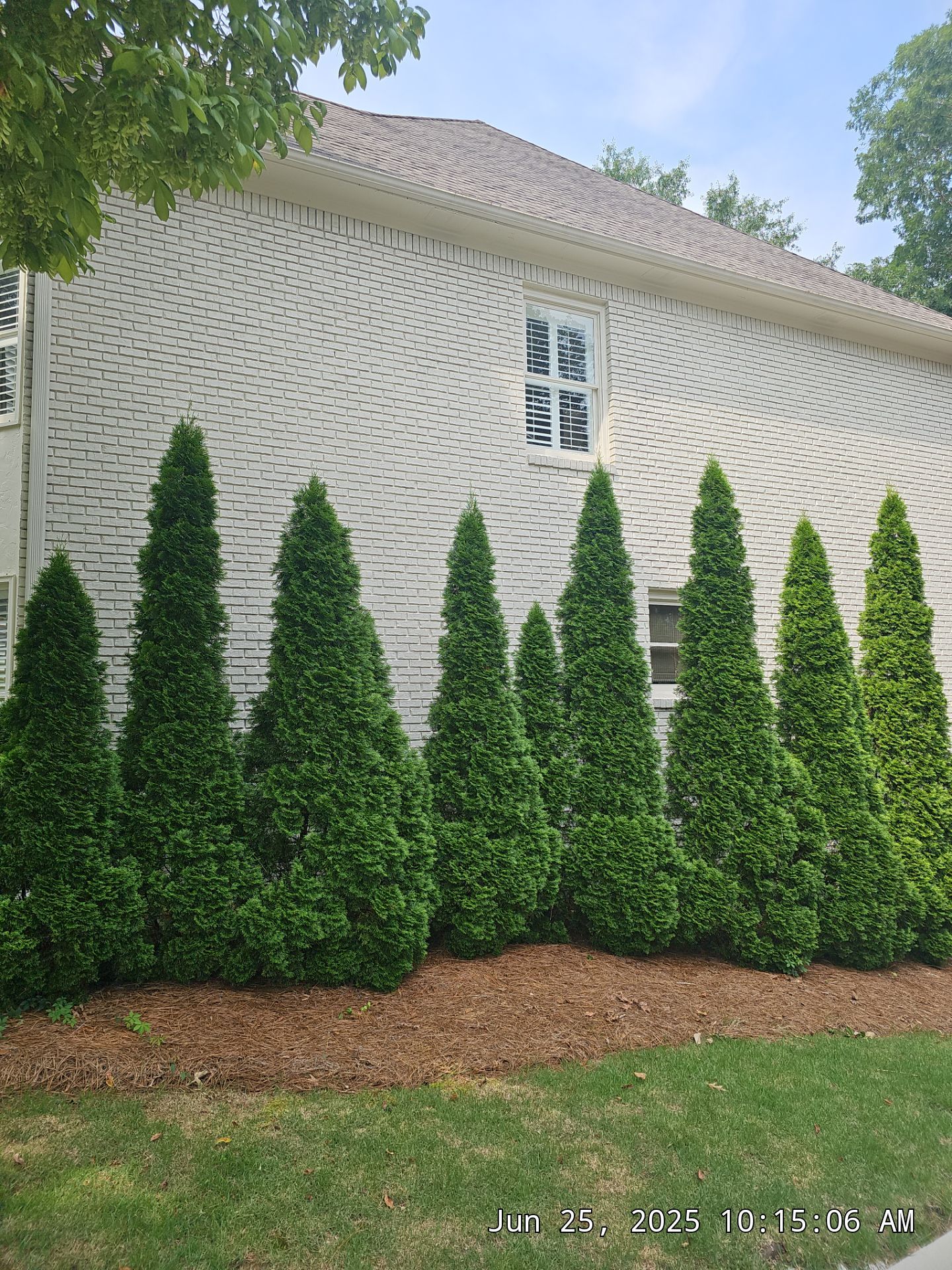 Johnson Project in Homewood by The Window Source