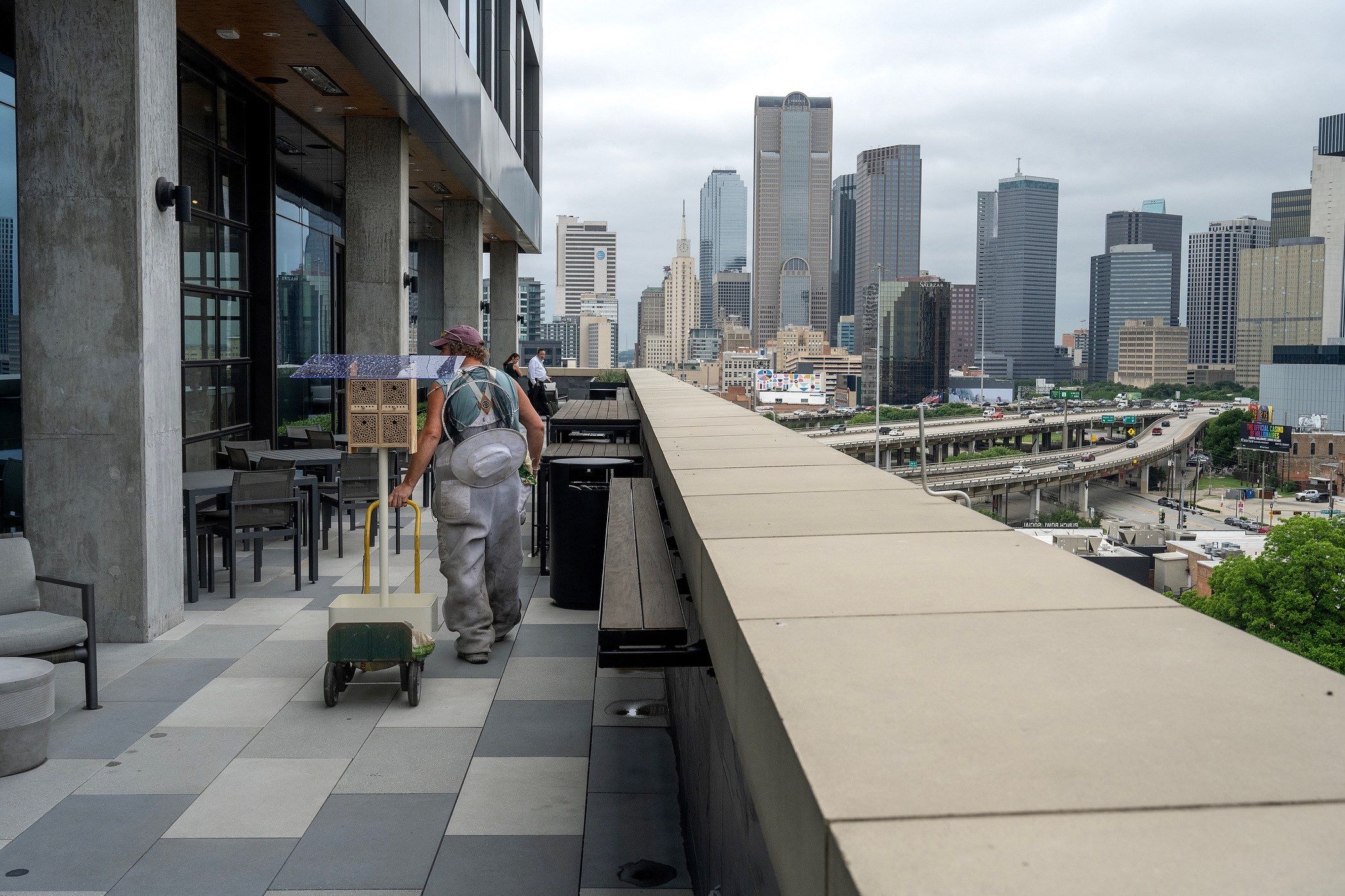 Urban Beekeeping in Dallas by Rockwall Honey Bee Company