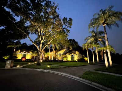 Landscape Lighting for Clearwater Home and Outdoor Living Space by Elegant Accents