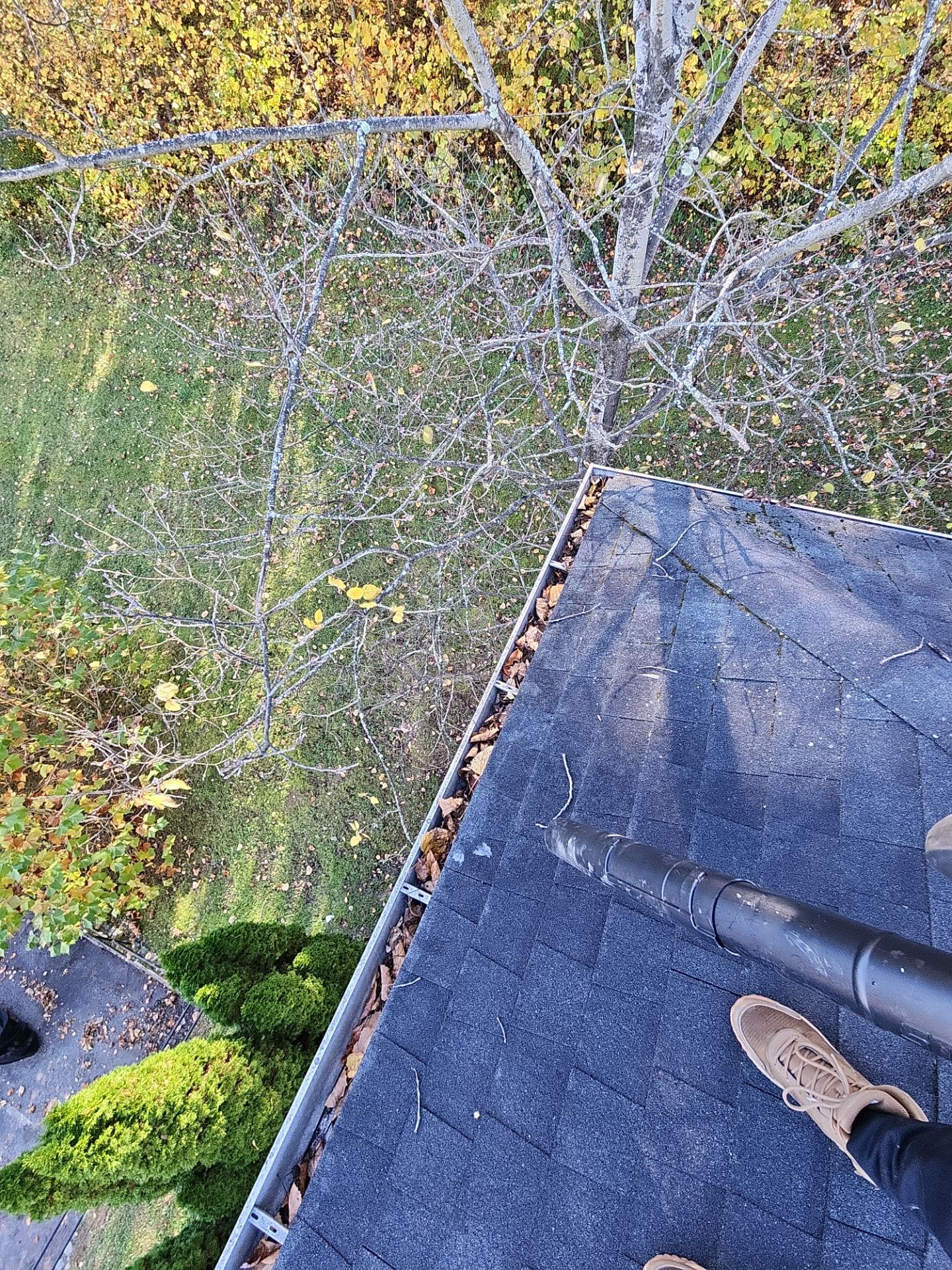 Commercial gutter cleaning Morgantown, WV before photo with filled gutters